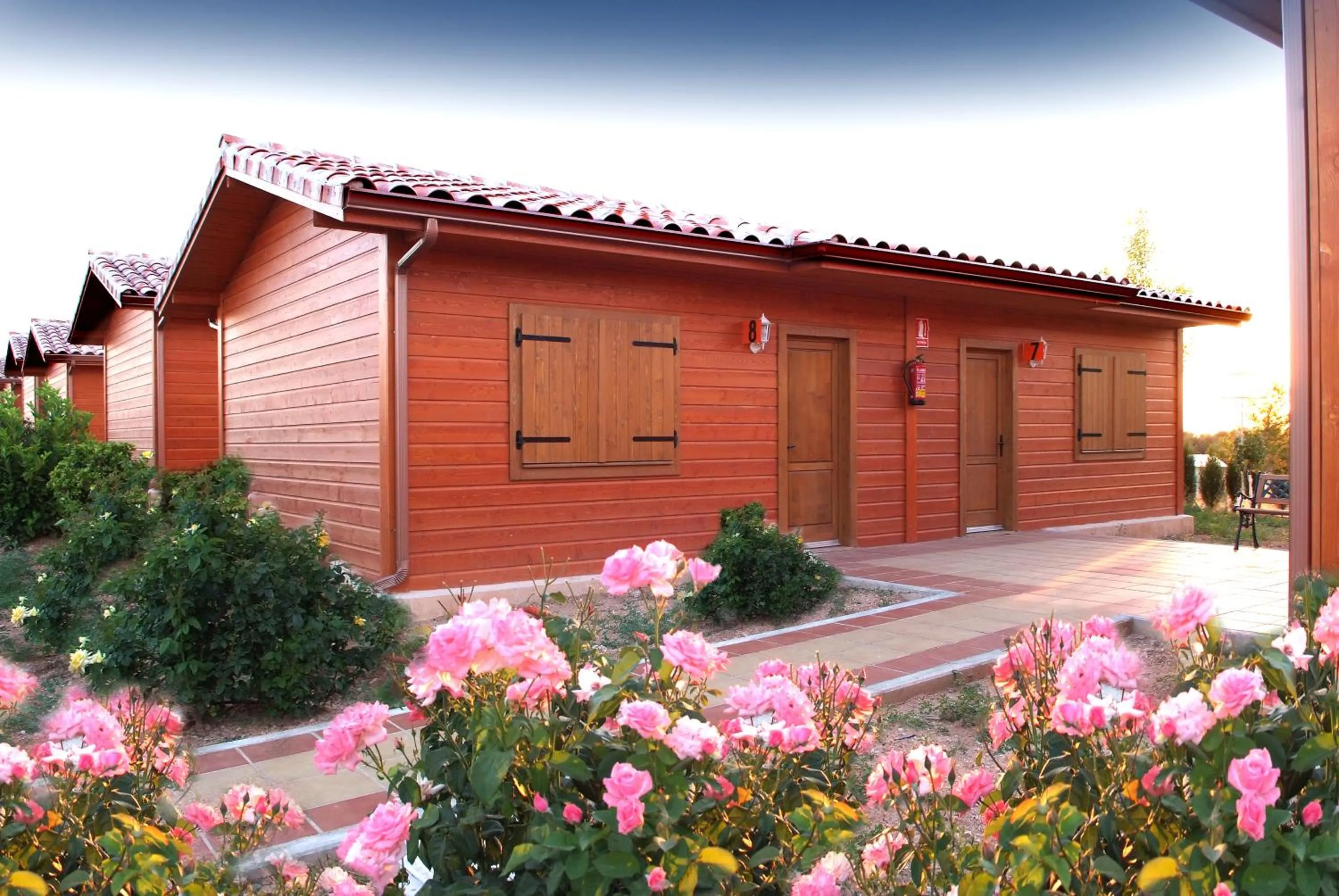 Spring in Motel San Isidro