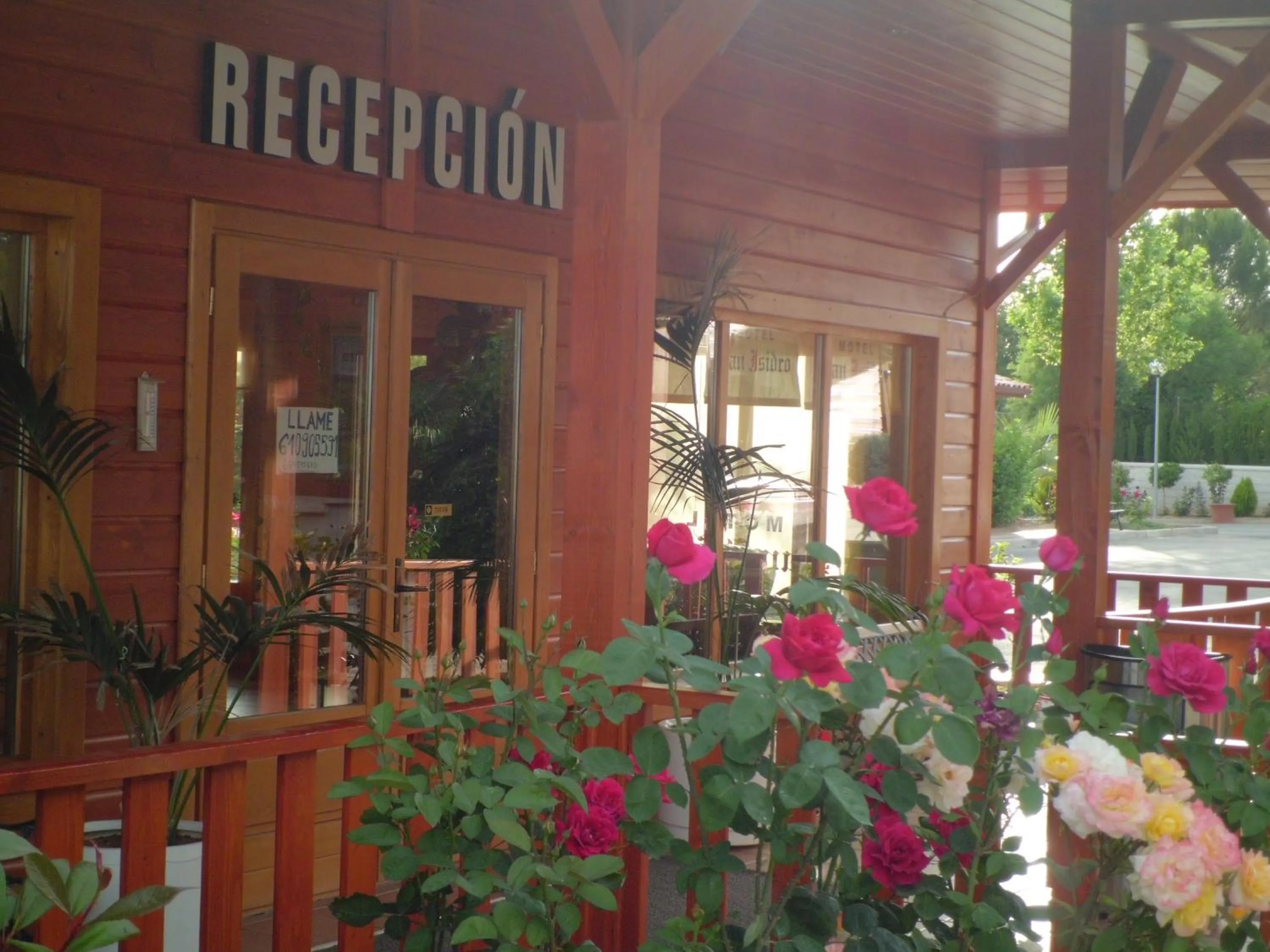 Spring in Motel San Isidro