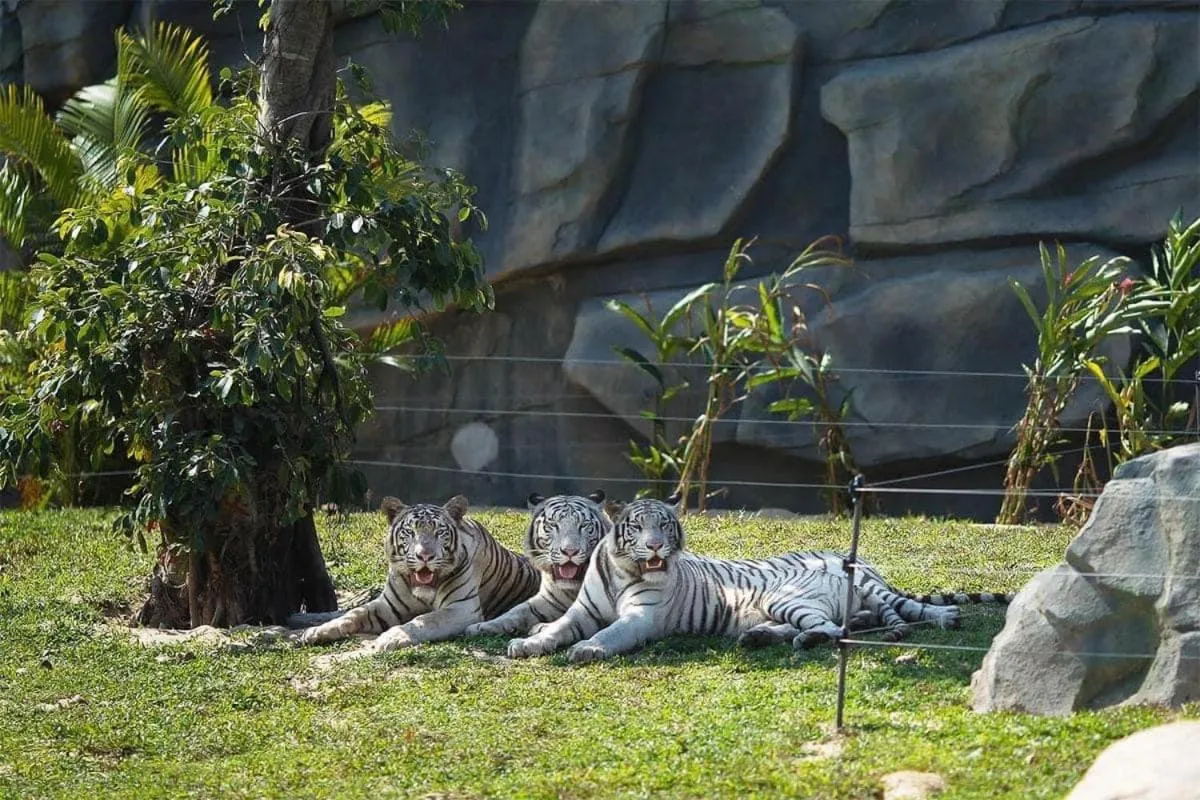 Nearby landmark in Cuong Thinh Homestay