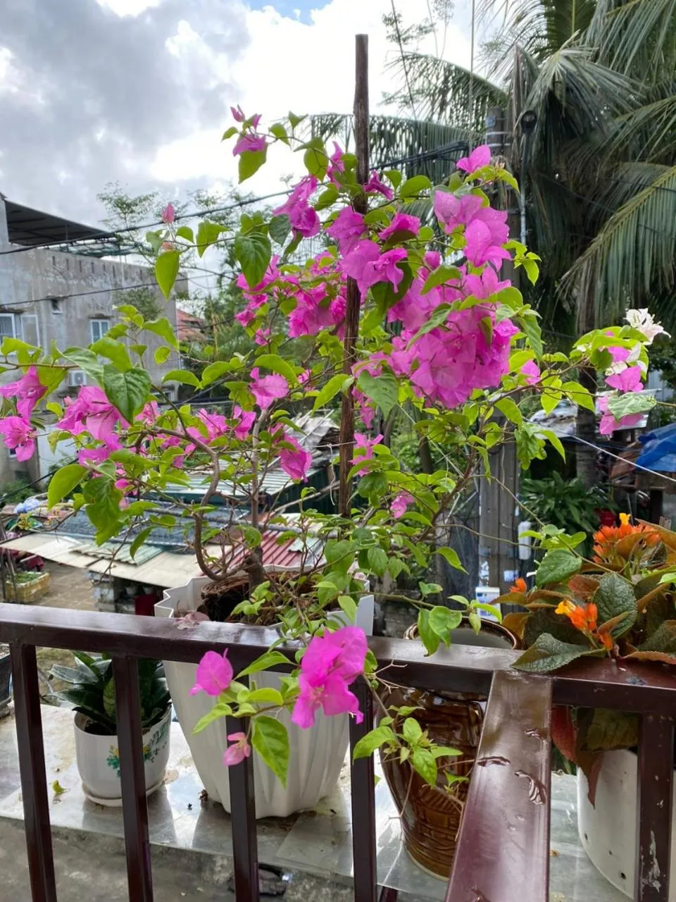 Balcony/Terrace in Cuong Thinh Homestay
