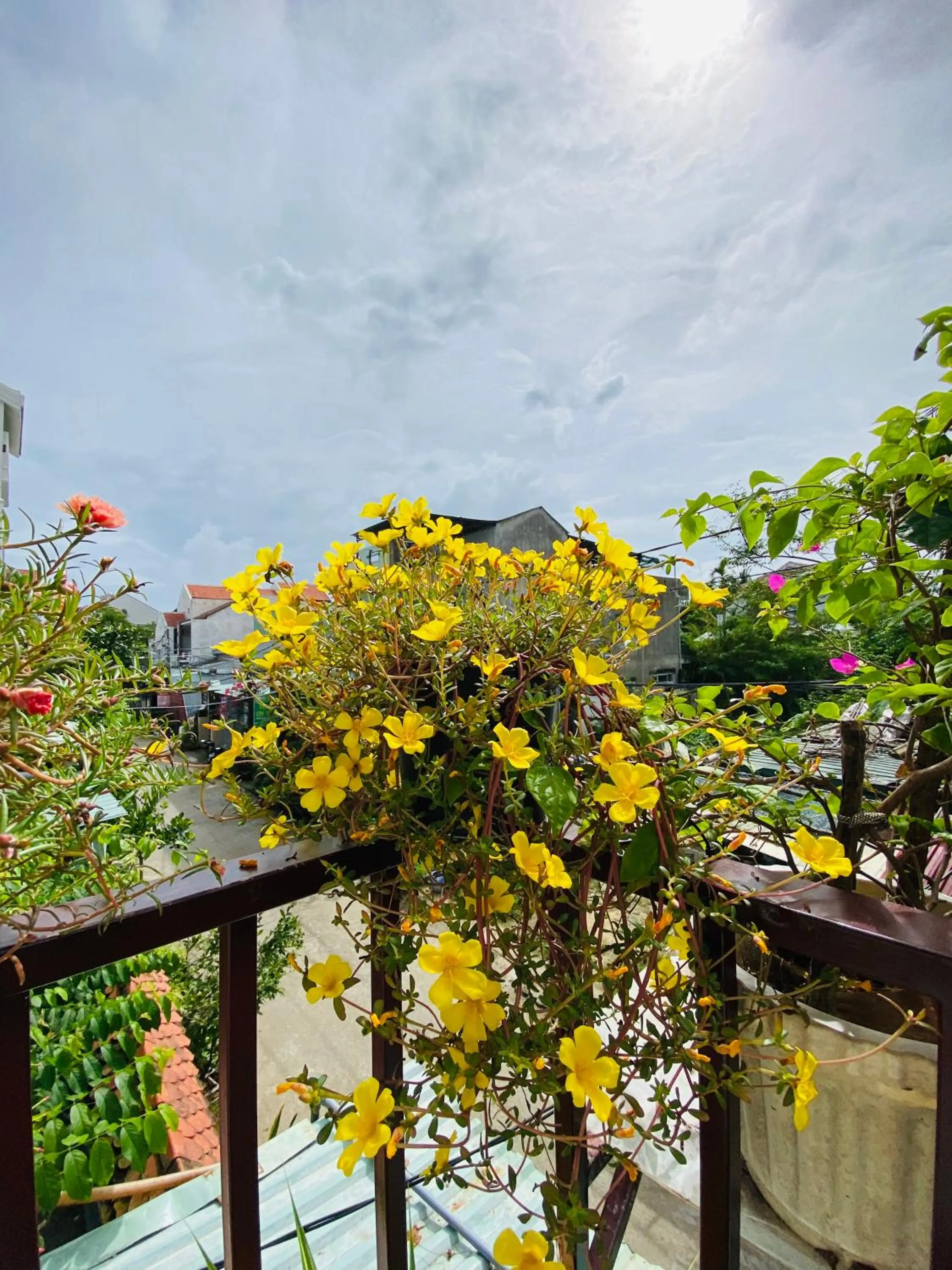 Balcony/Terrace in Cuong Thinh Homestay