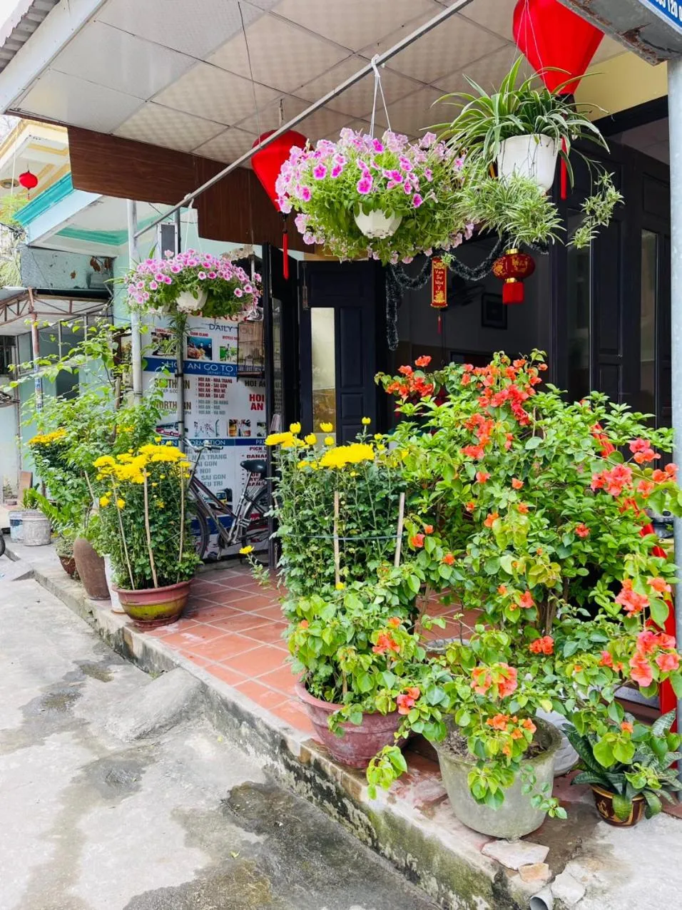 Spring in Cuong Thinh Homestay