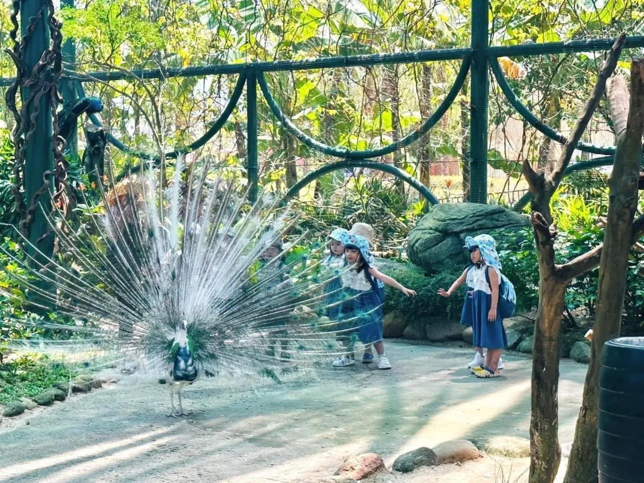 Cuong Thinh Homestay