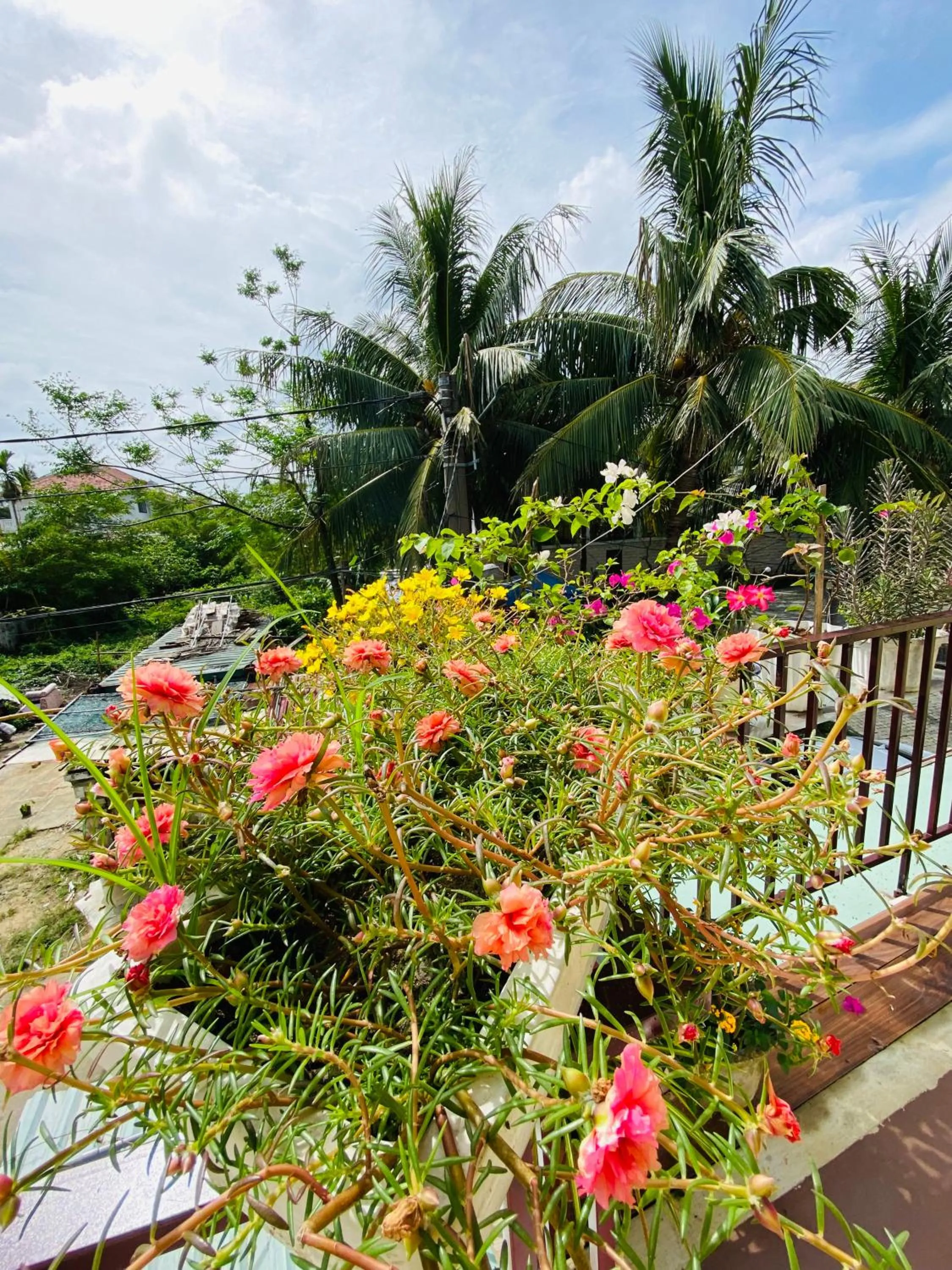 Natural landscape in Cuong Thinh Homestay