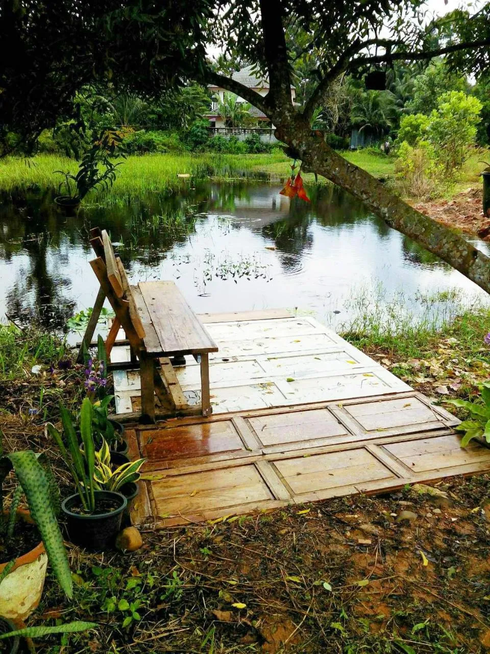 Property building in Go Green Resort