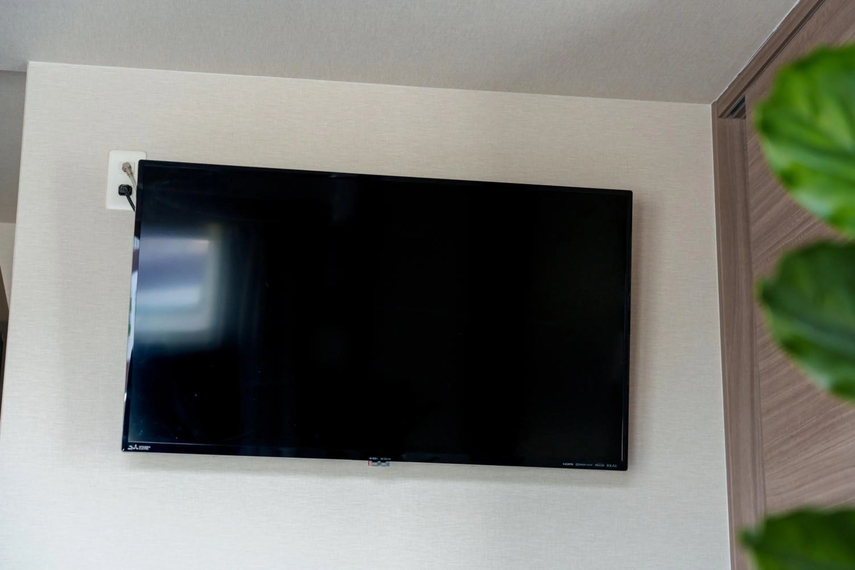 TV and multimedia in Tanimachi LUXE HOTEL