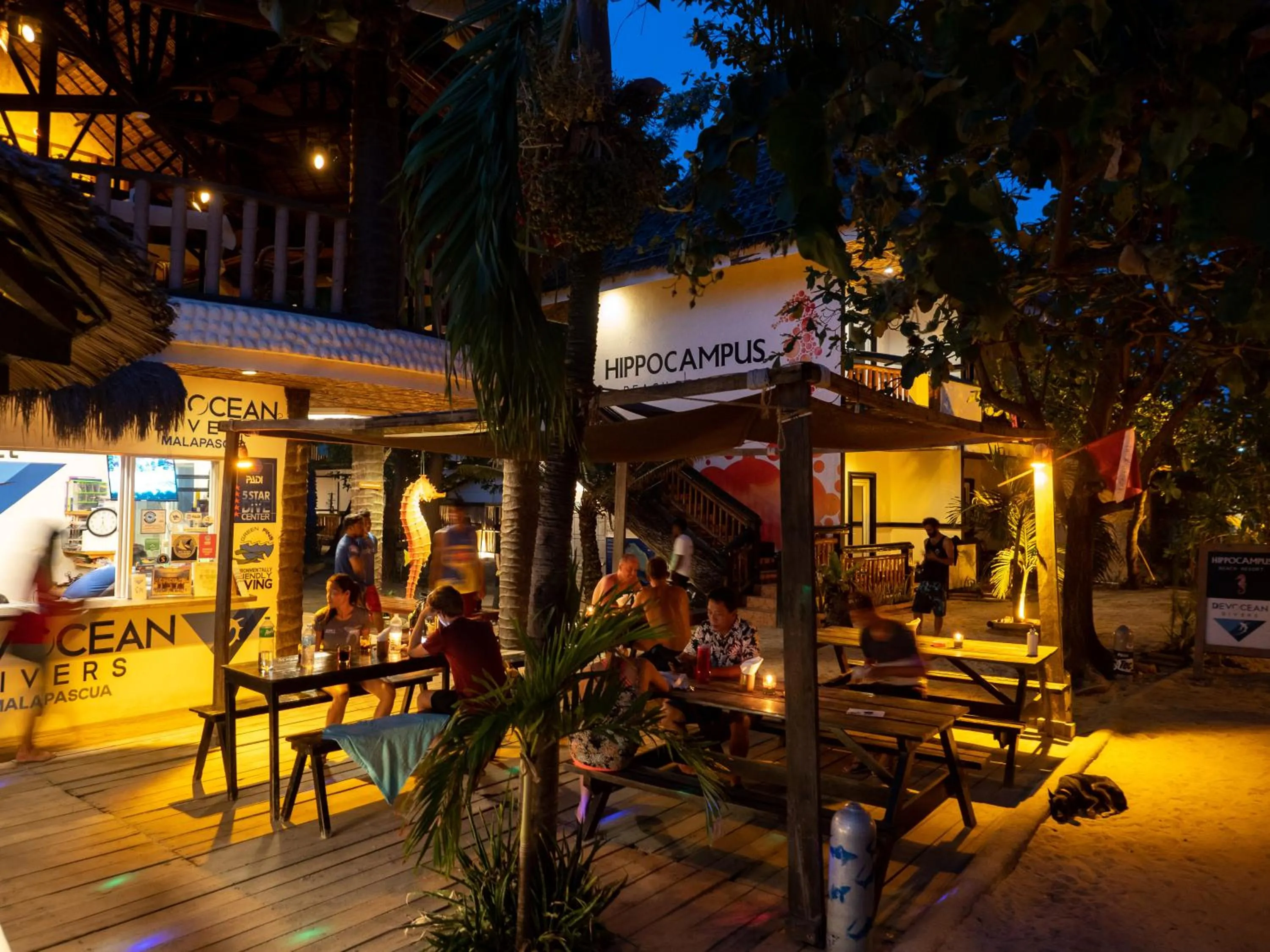 Restaurant/places to eat in Hippocampus Beach Resort