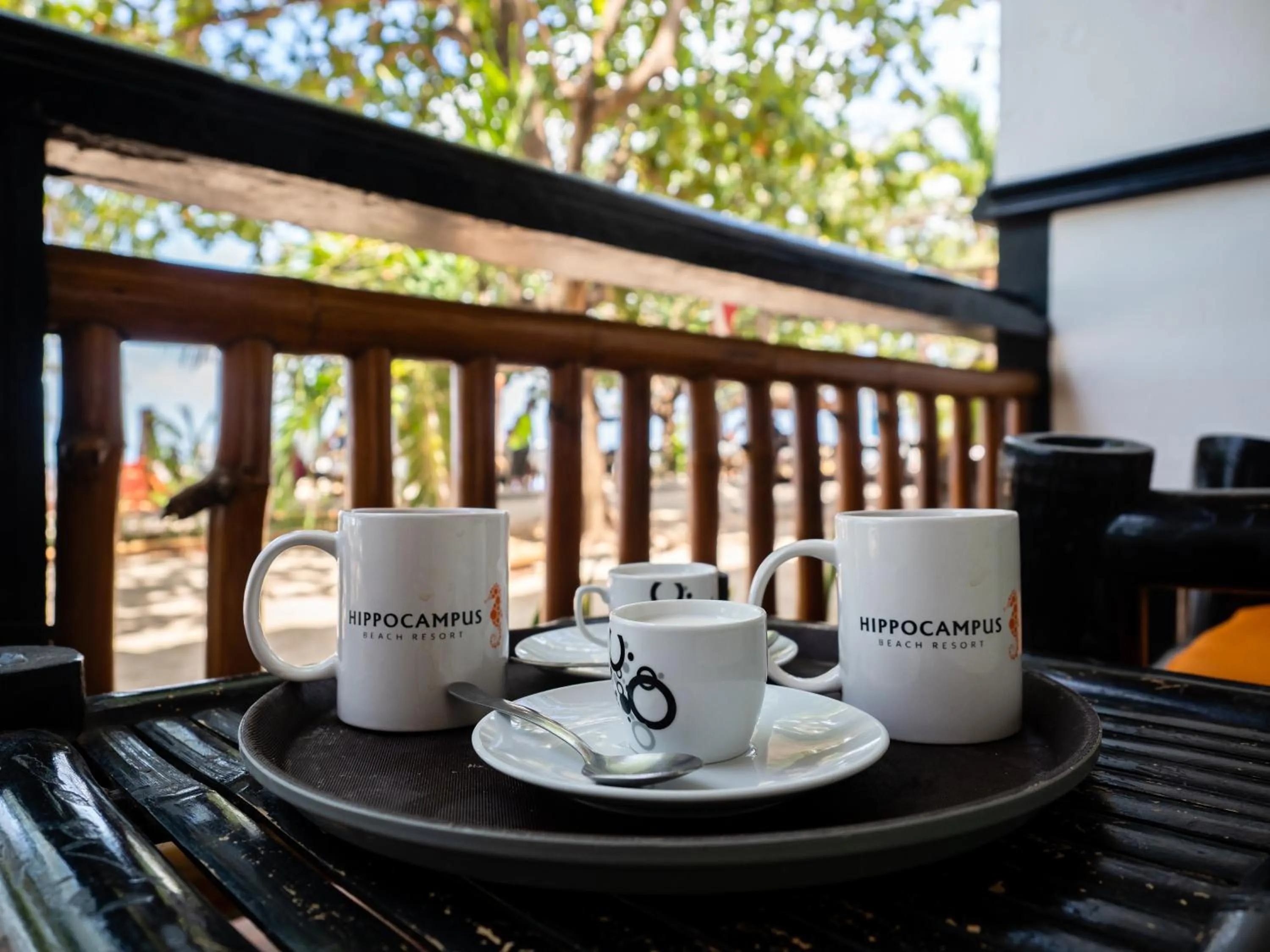 Balcony/Terrace in Hippocampus Beach Resort
