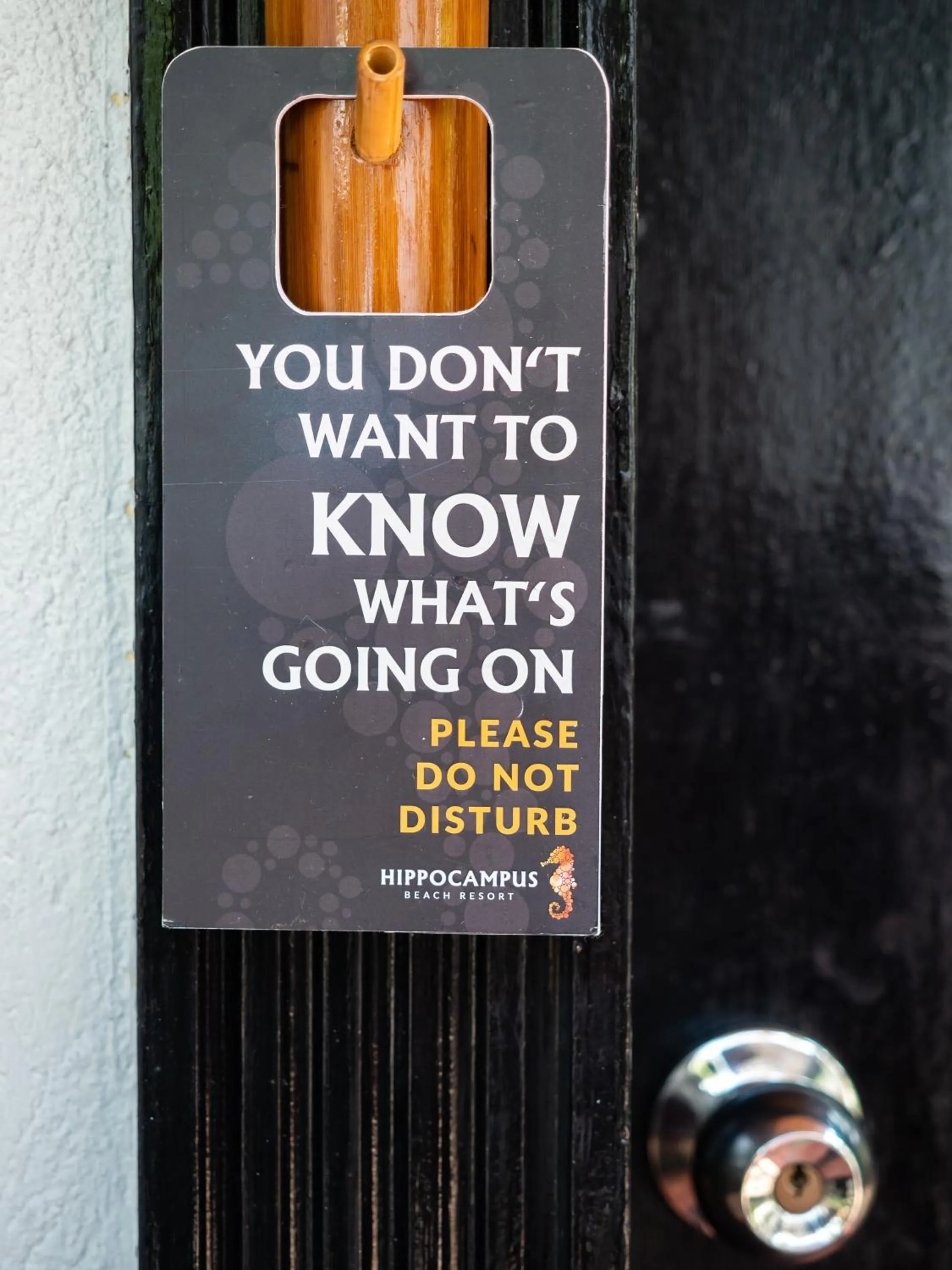 Balcony/Terrace in Hippocampus Beach Resort