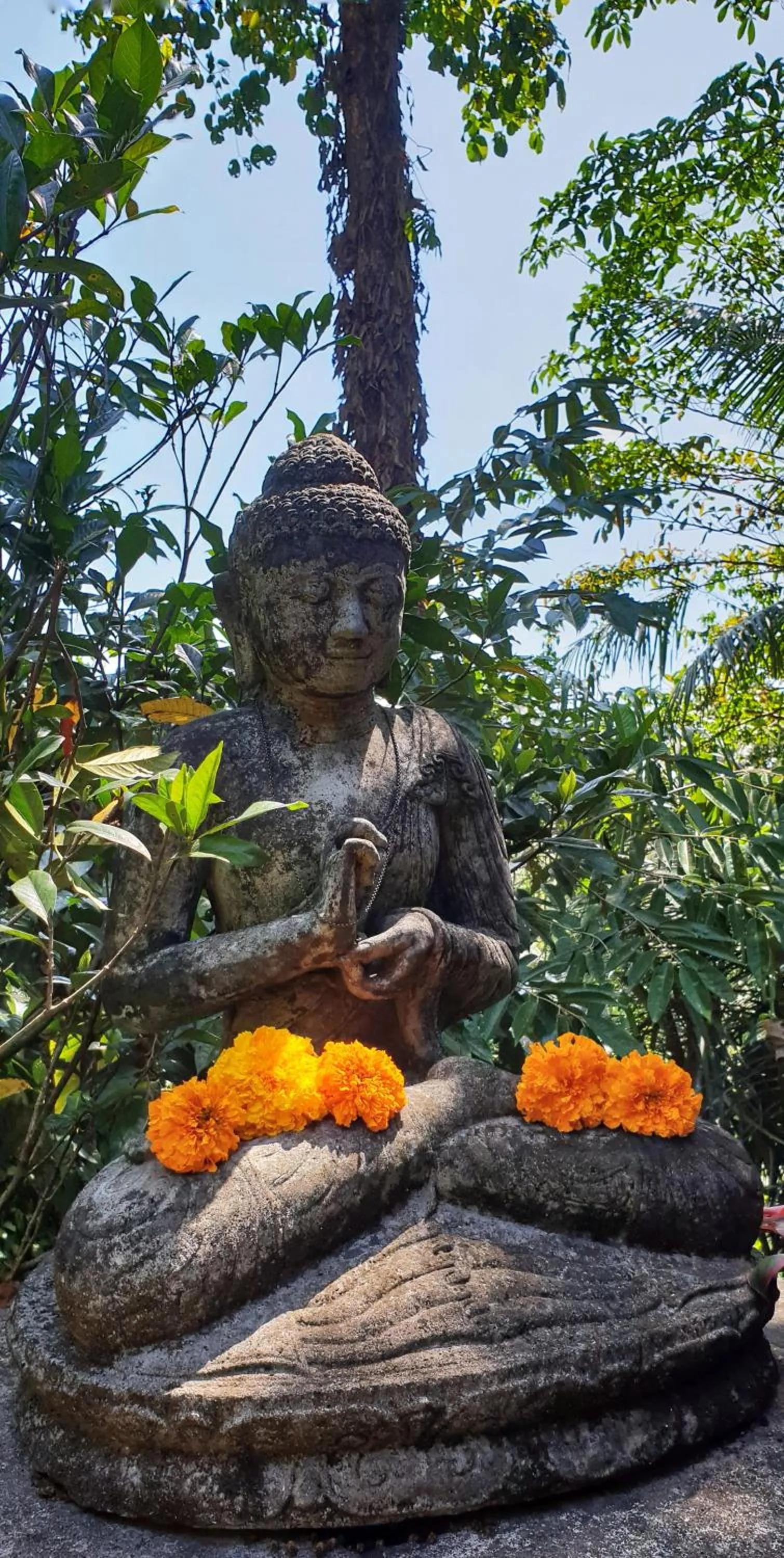 View (from property/room) in Secluded Jungle Villa