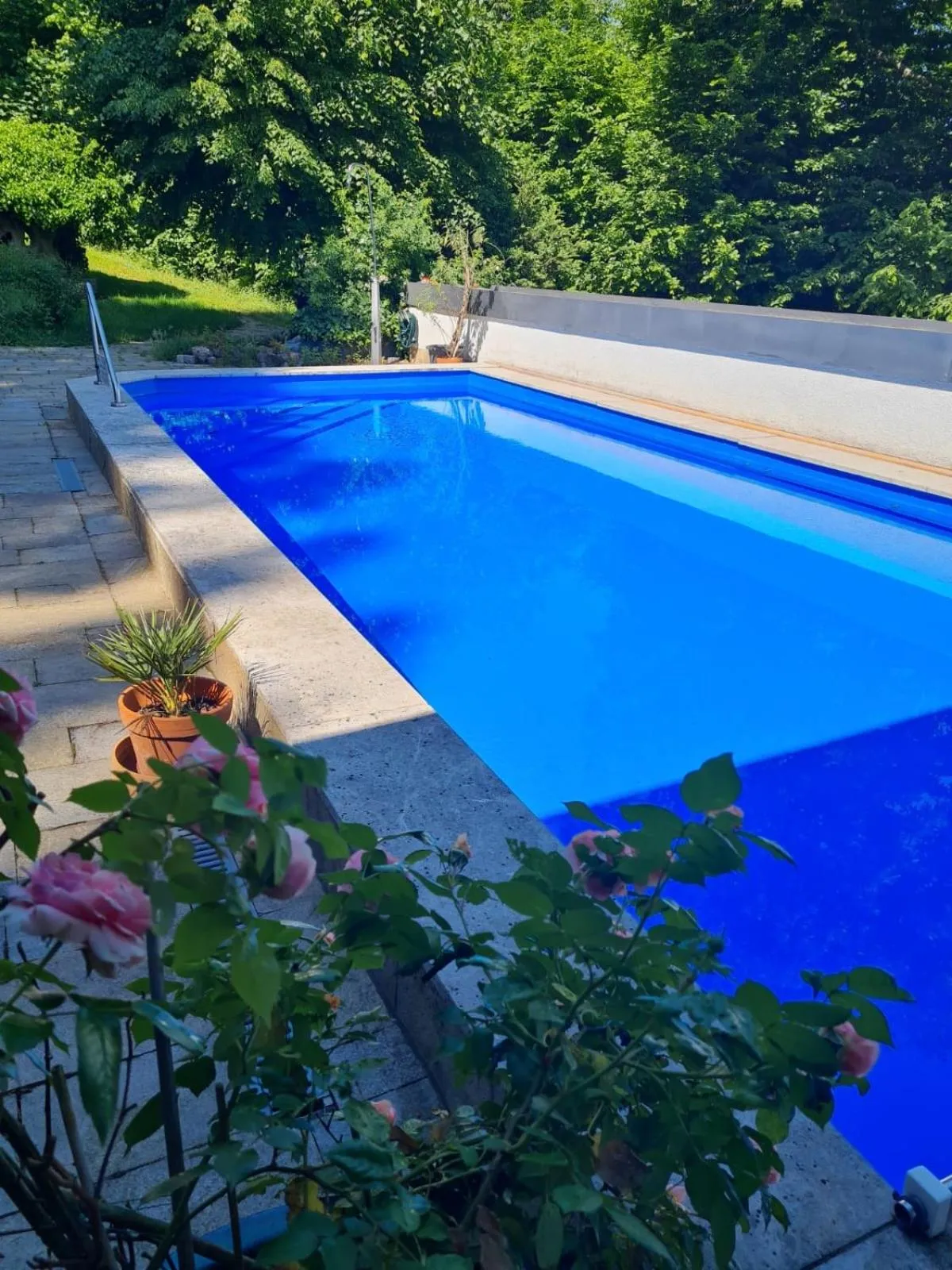 Pool view in Haus am Wald