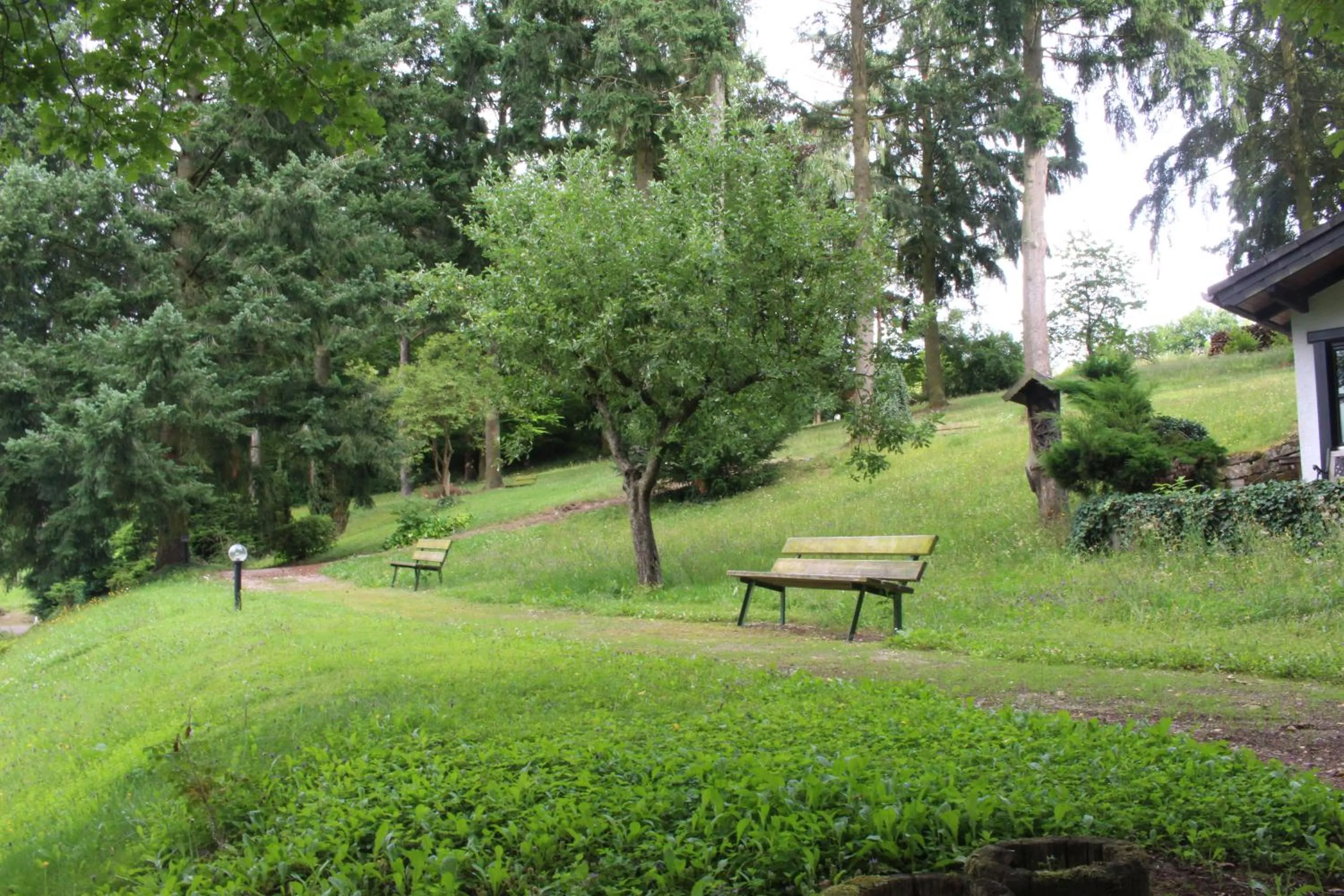 Garden in Haus am Wald