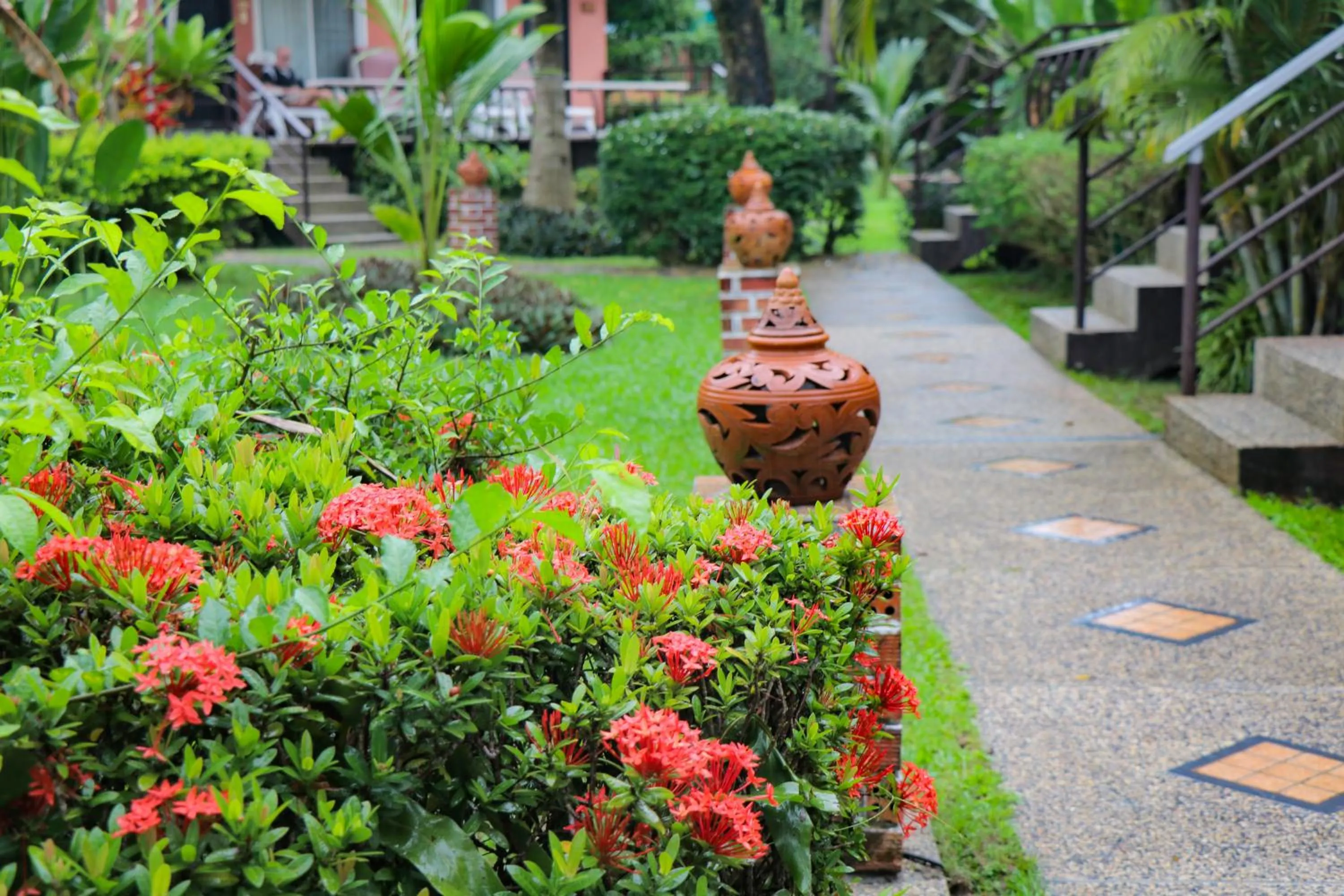 Garden in Andaman Seaside Resort Bangtao Beach