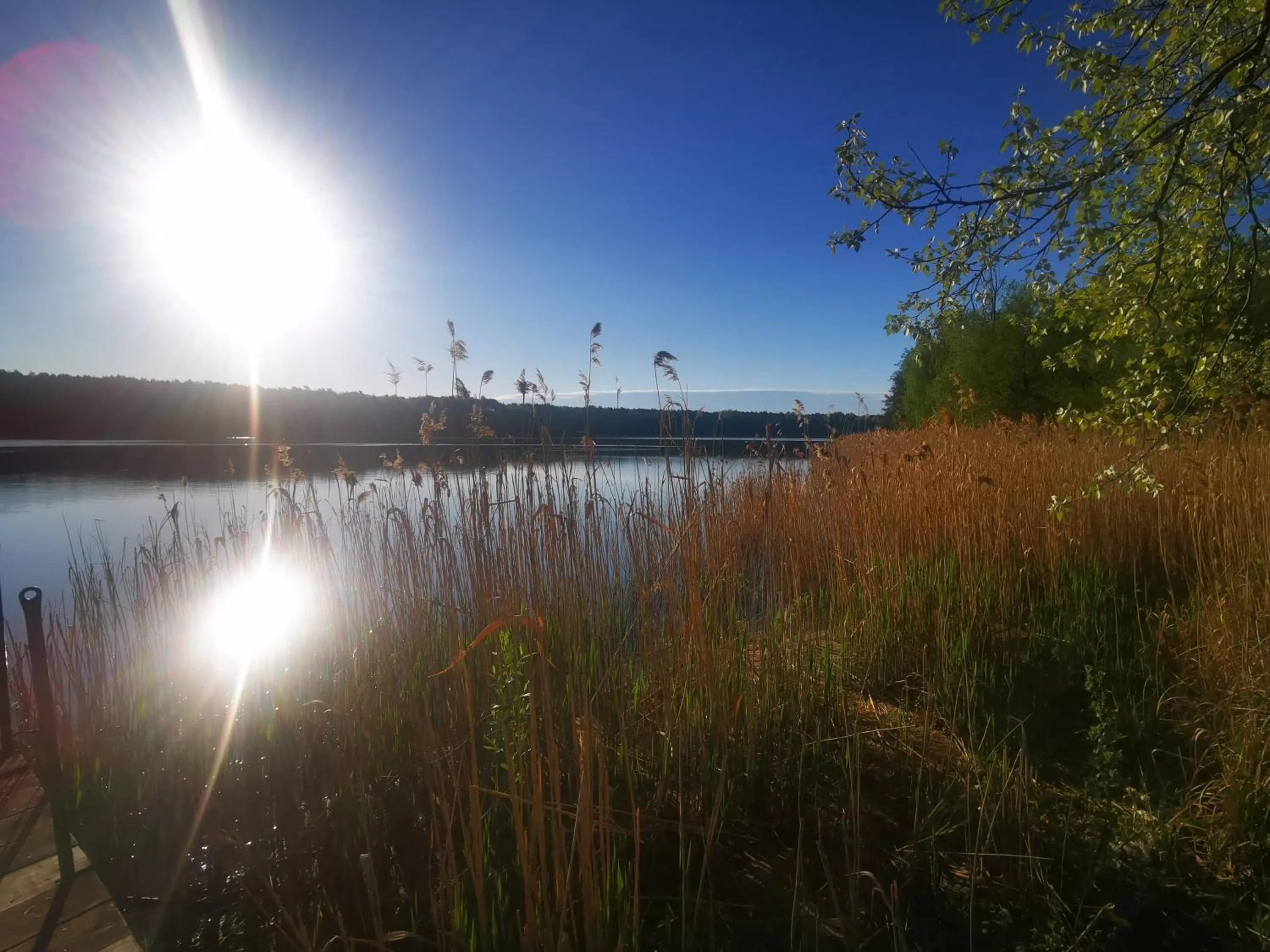 Natural landscape in Hotel Szablewski