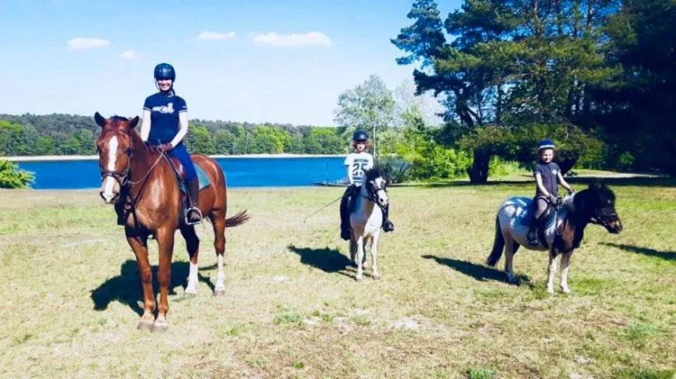 Animals in Hotel Szablewski