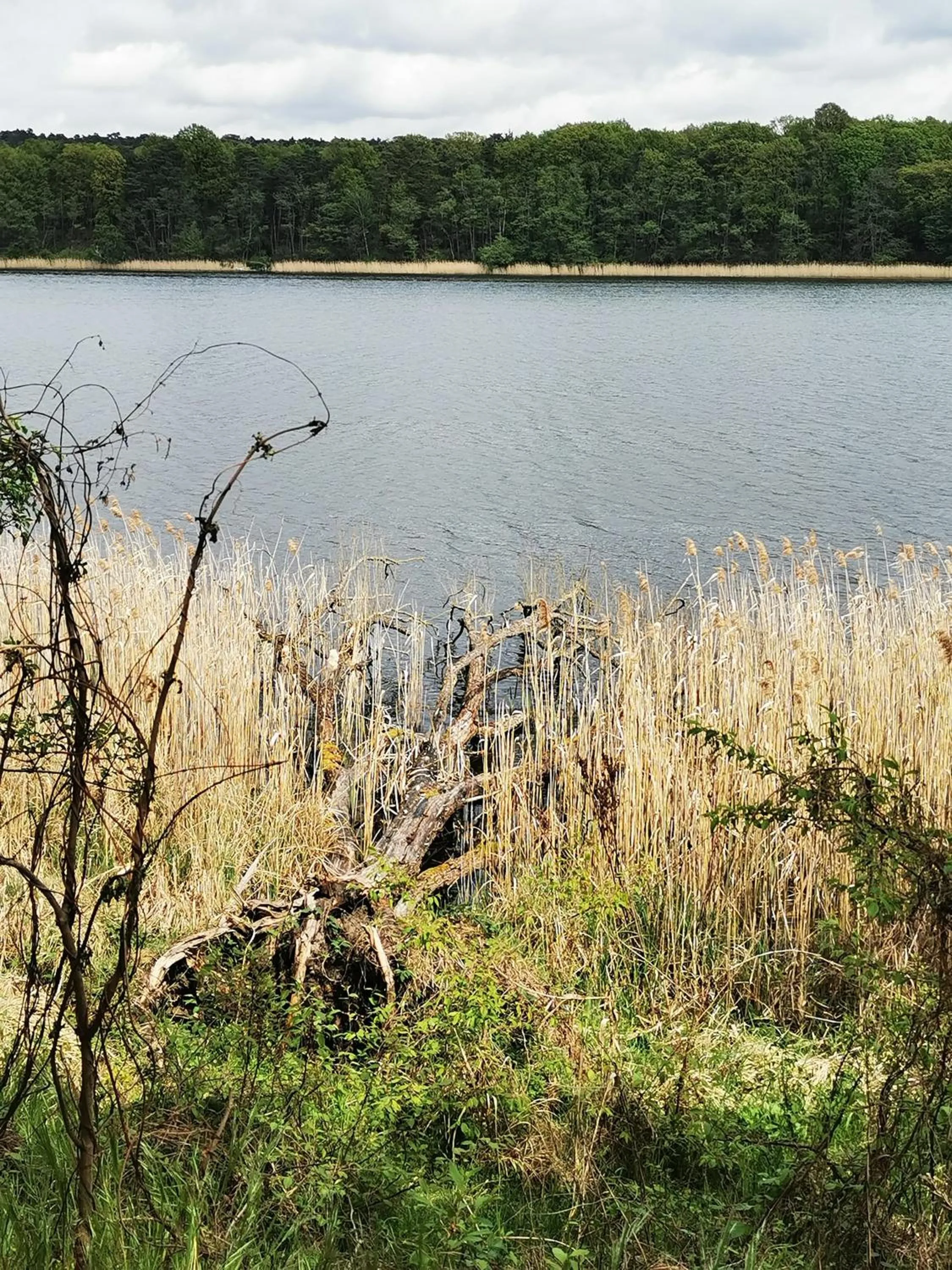 Natural landscape in Hotel Szablewski