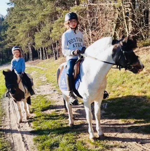 Animals in Hotel Szablewski