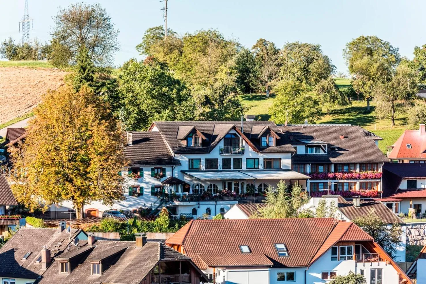 Bird's eye view in Hotel Restaurant Krone & Wellness - Schopfheim