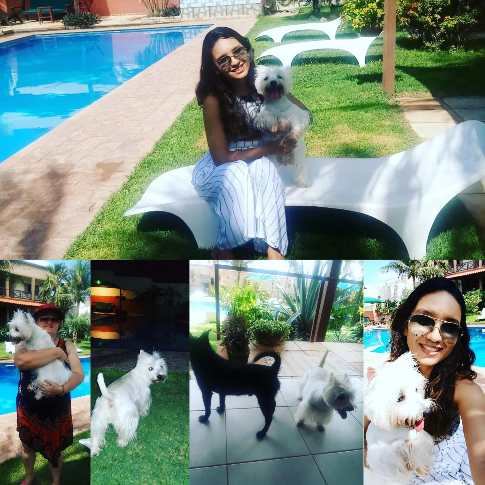 Pets in Residenza Canoa