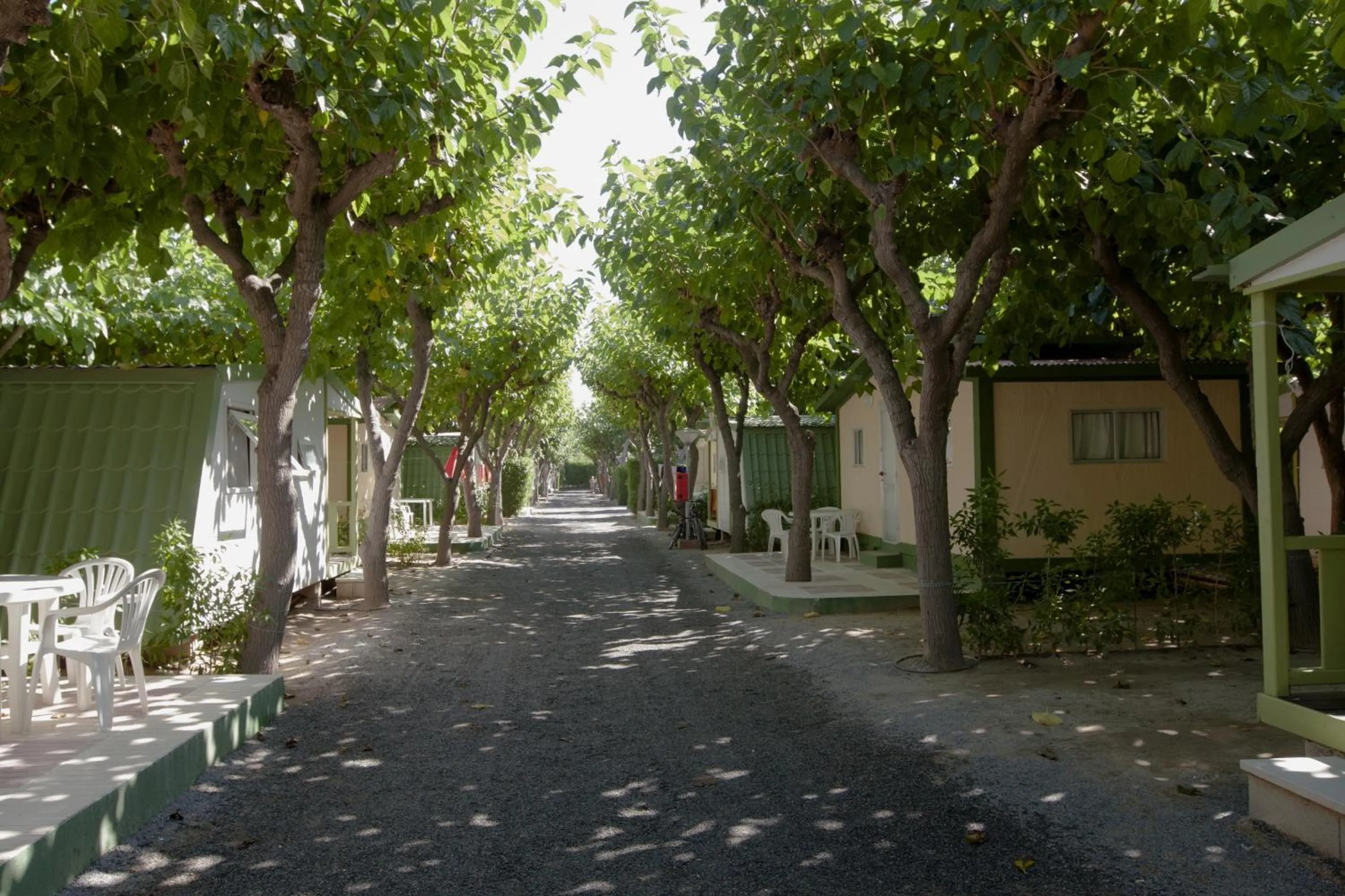 Facade/entrance in Camping Platja Cambrils