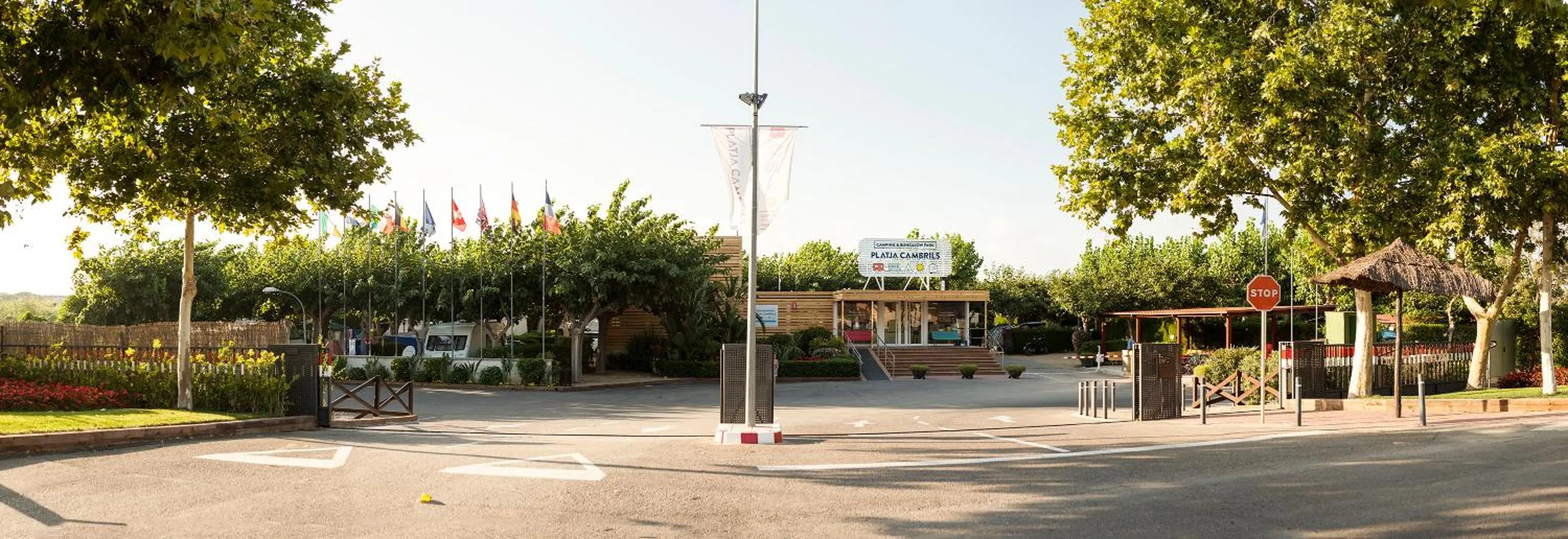 Bird's eye view in Camping Platja Cambrils