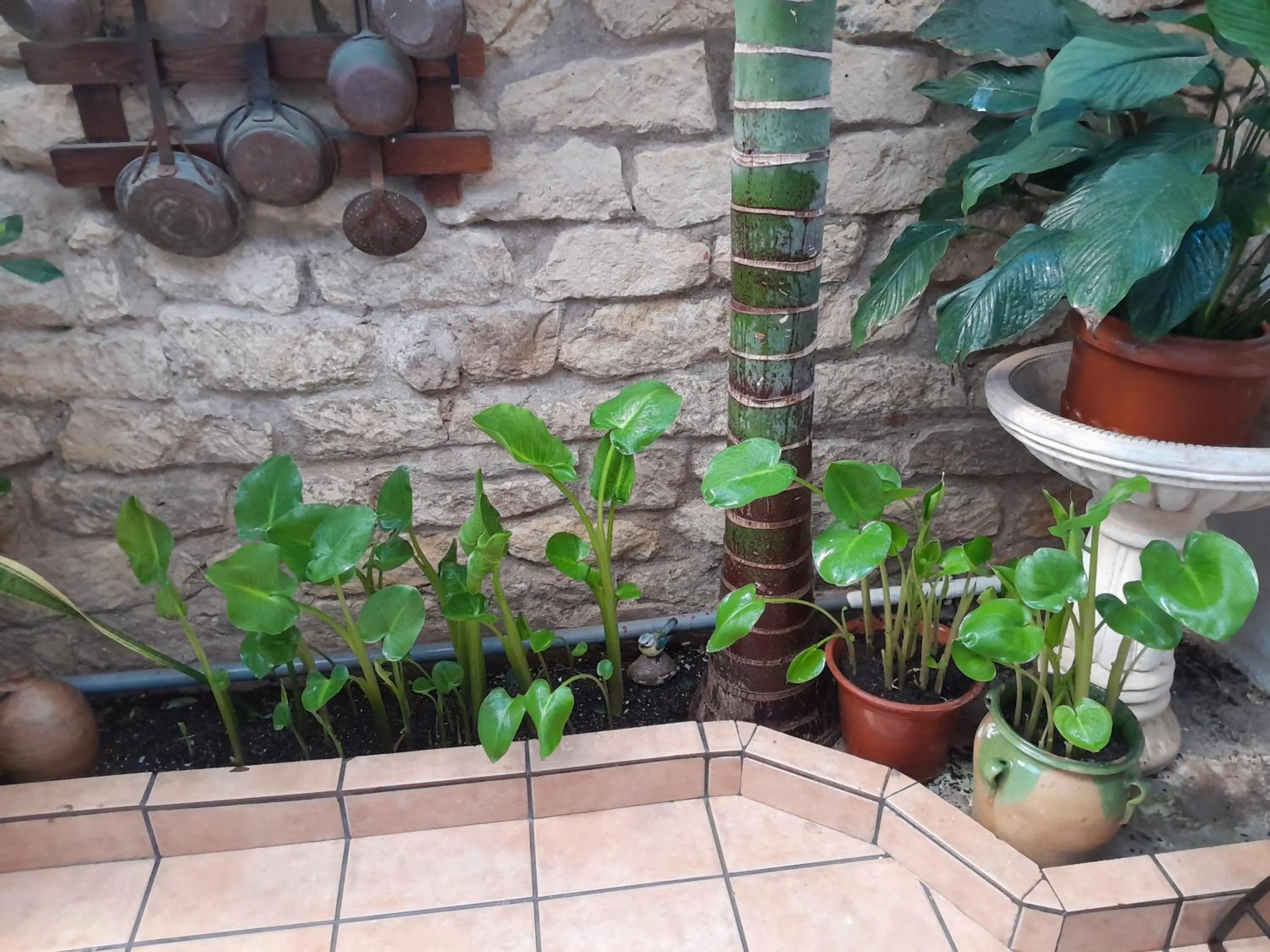 Pensión Antonio Guesthouse