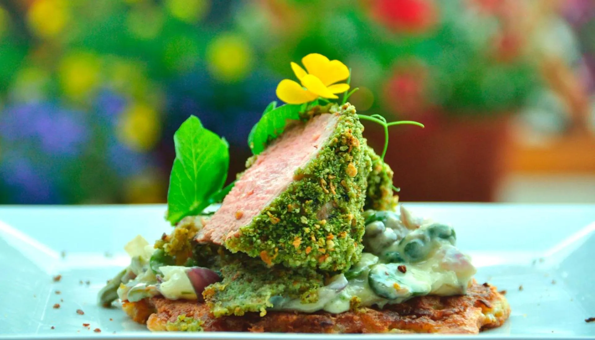 Restaurant/places to eat in Ziołowa Dolina