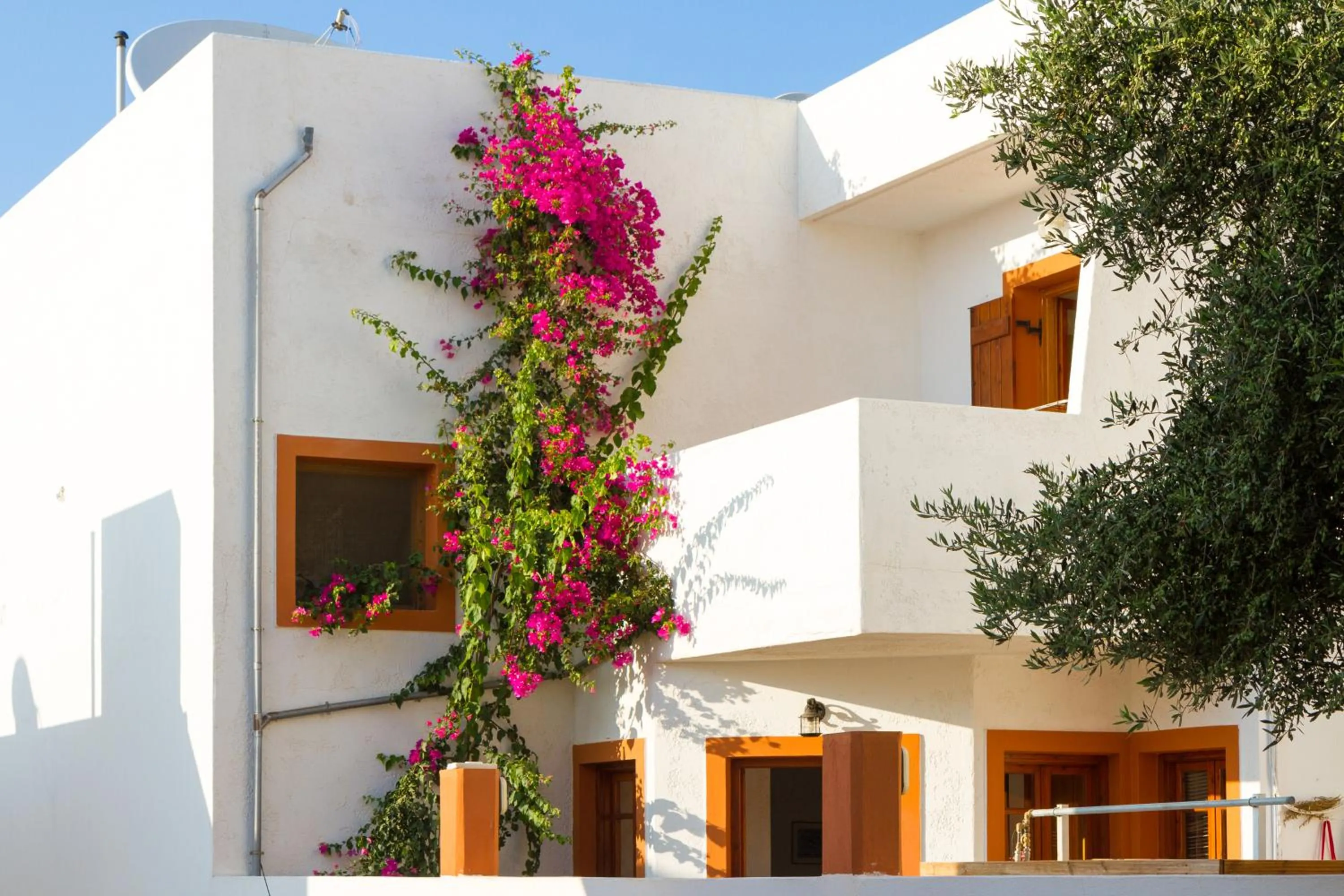 View (from property/room) in Ideal Hotel