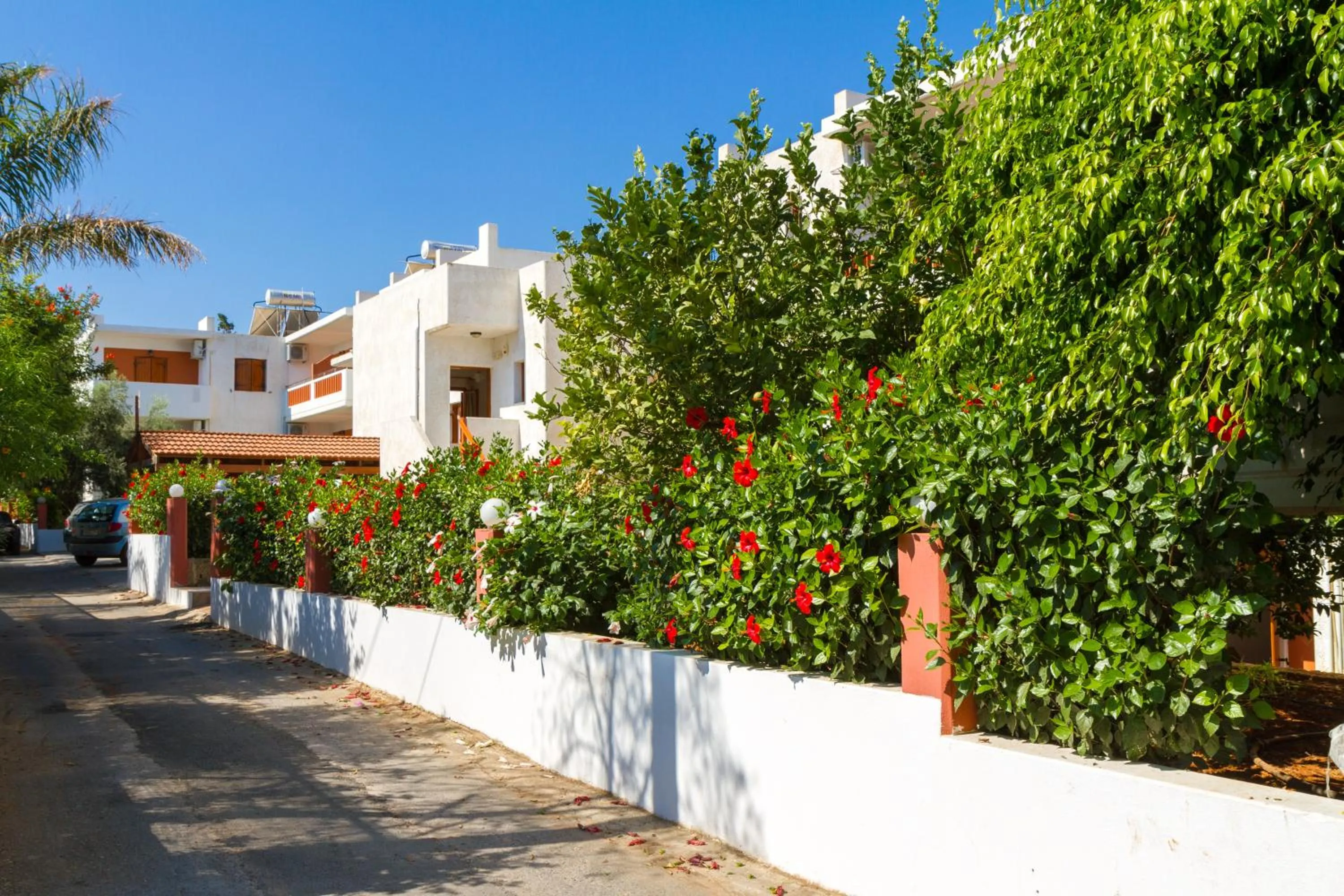 Neighbourhood in Ideal Hotel