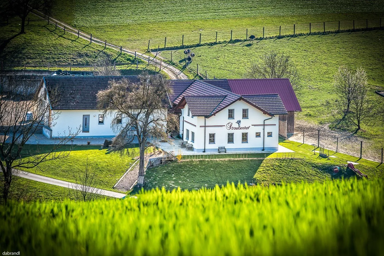Property building in Straußenhof Halmer