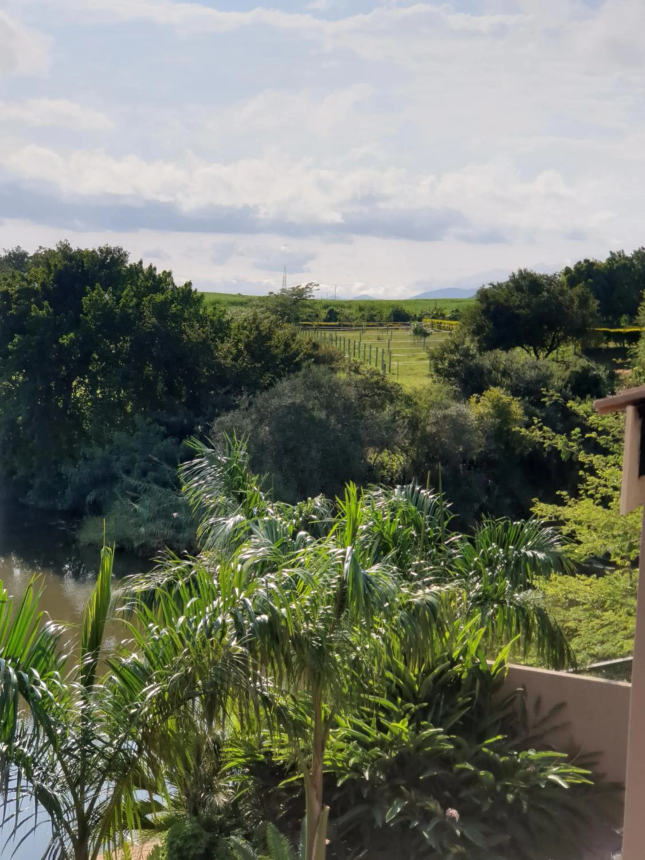 Natural landscape in Nkomazi Kruger Lodge & Spa