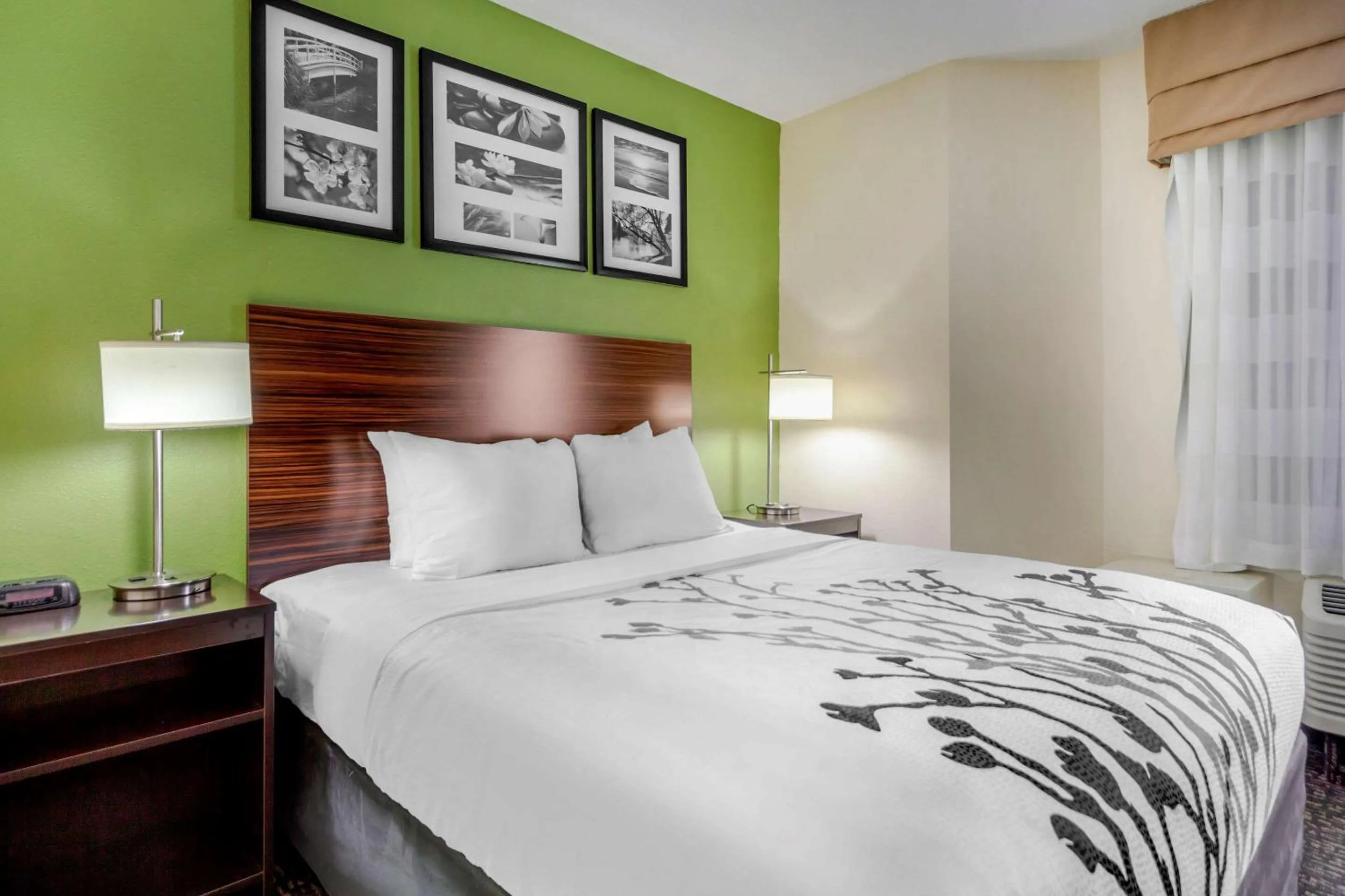 Photo of the whole room, Bed in Sleep Inn & Suites Omaha Airport