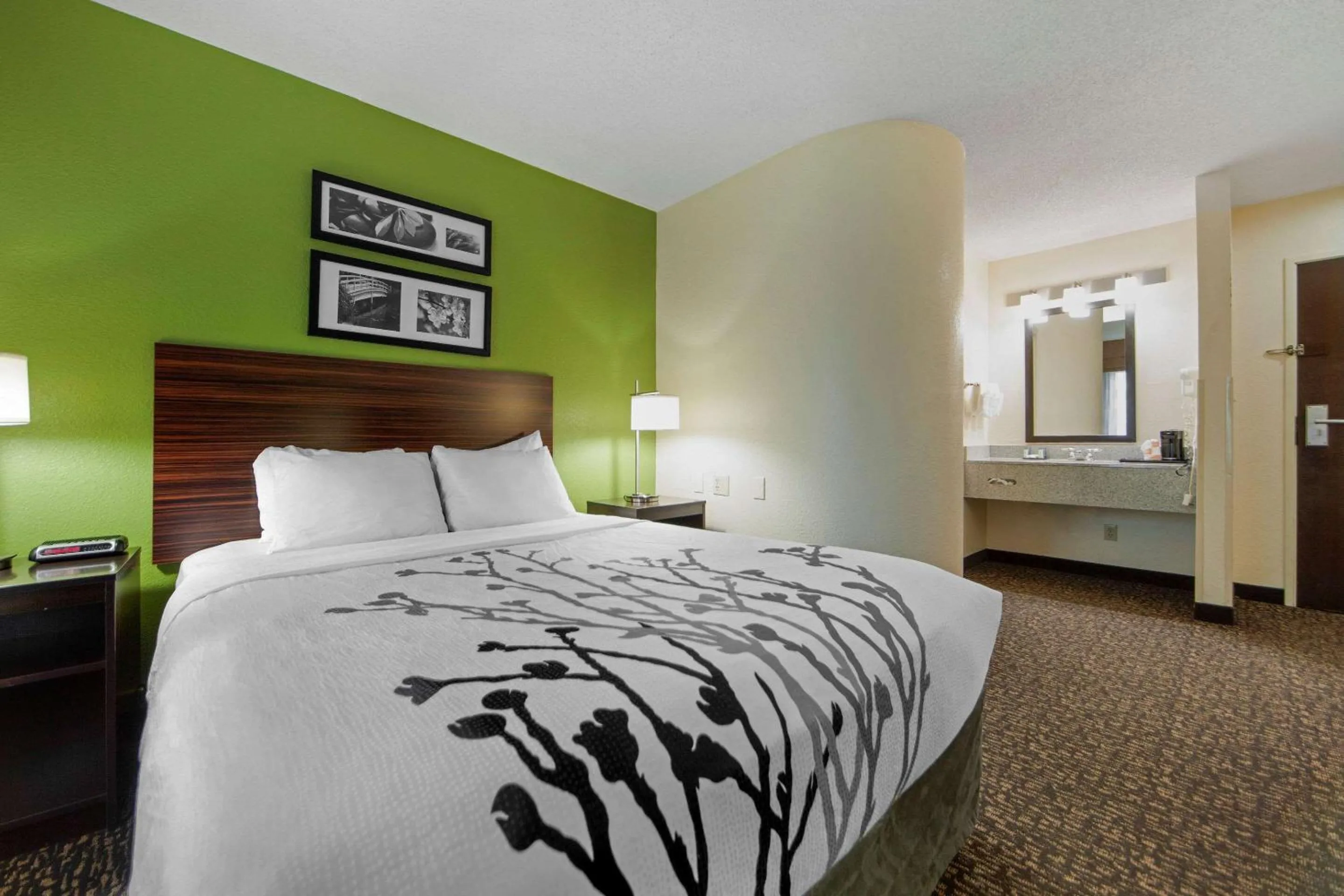 Photo of the whole room, Bed in Sleep Inn & Suites Omaha Airport