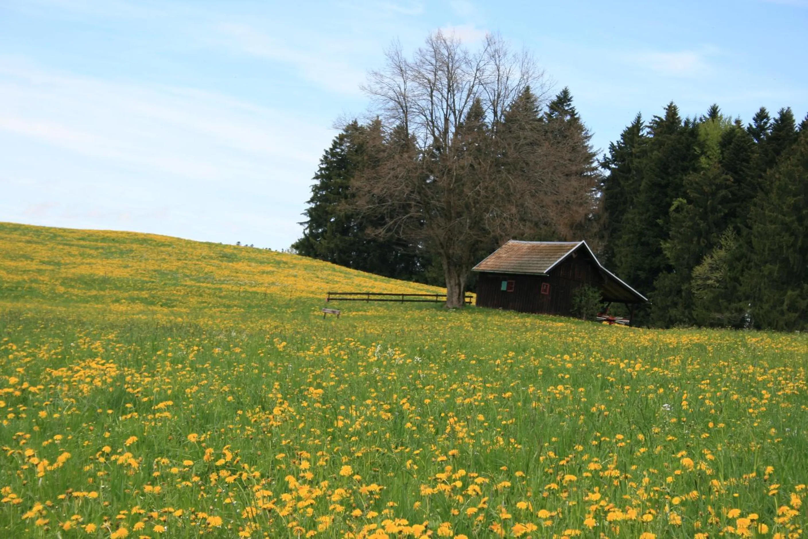 Natural landscape, Property Building in Hotel Allgäuer Hof