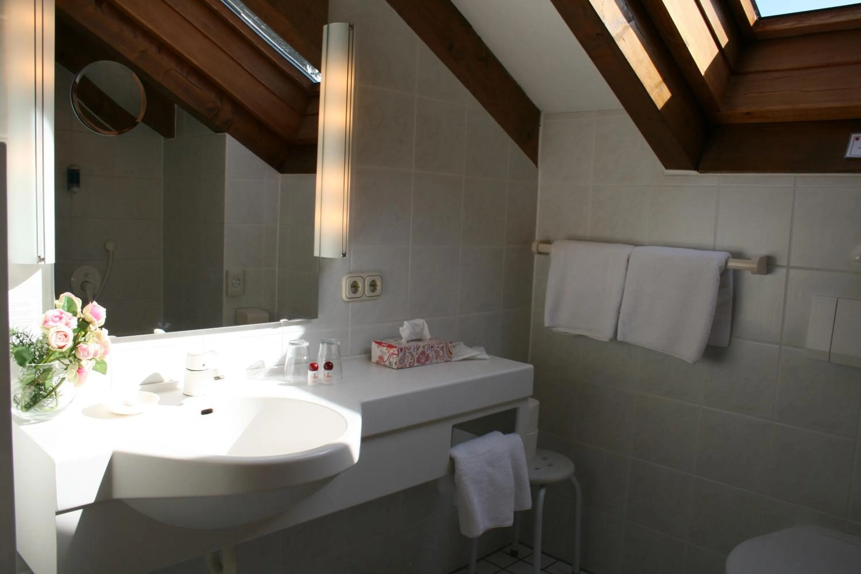 Toilet, Bathroom in Hotel Allgäuer Hof