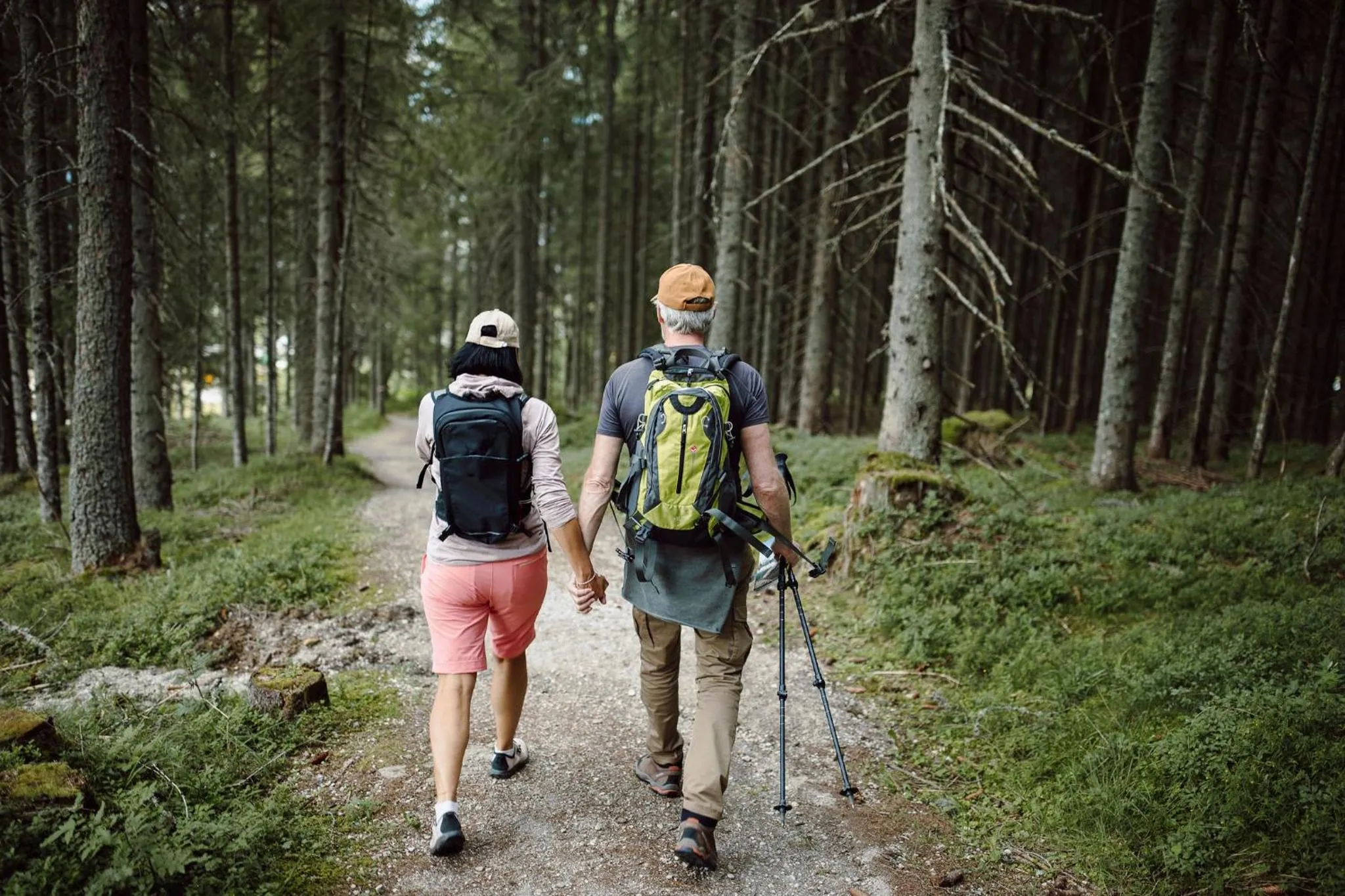 Hiking in Hotel Waldfrieden