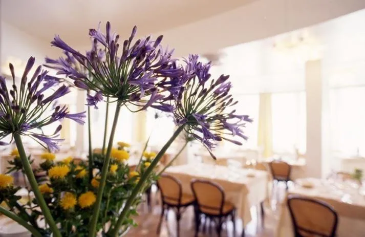 Restaurant/places to eat in Hotel Torremaura