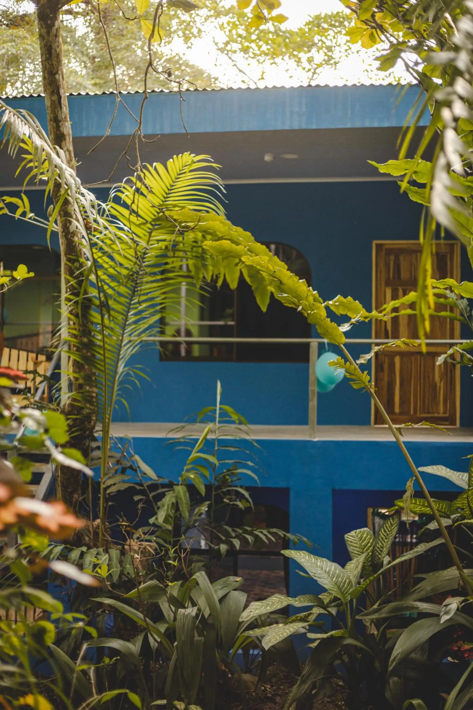 Facade/entrance in Peace of Paradise Breakfast Included Free Manuel Antonio Park Tour