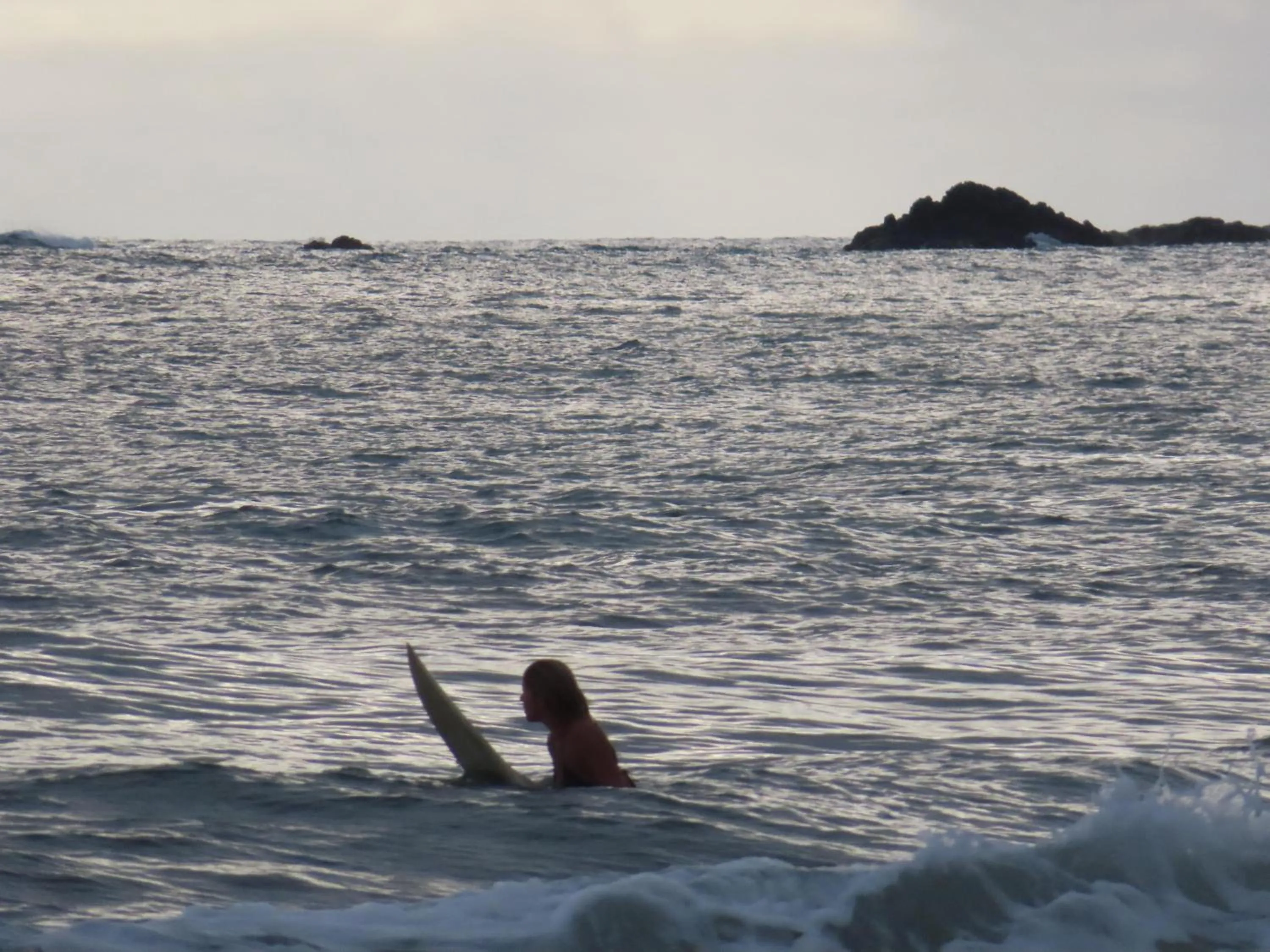 Peace of Paradise Breakfast Included Free Manuel Antonio Park Tour