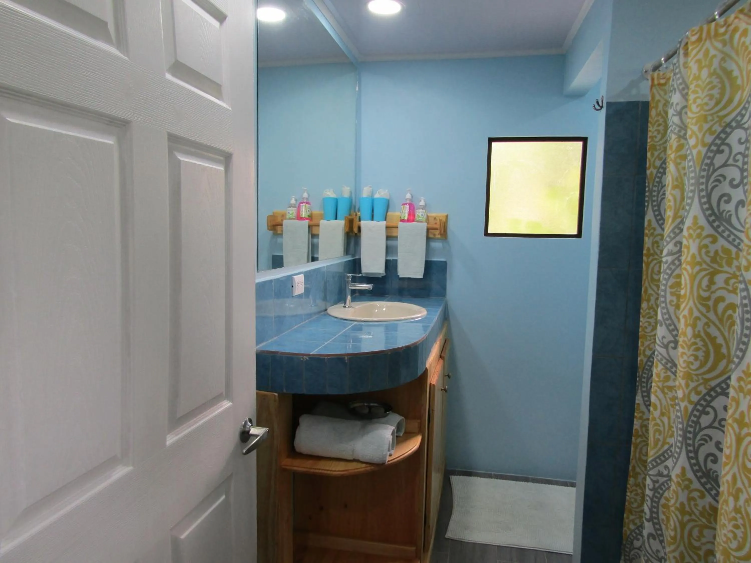 Bathroom in Peace of Paradise Breakfast Included Free Manuel Antonio Park Tour