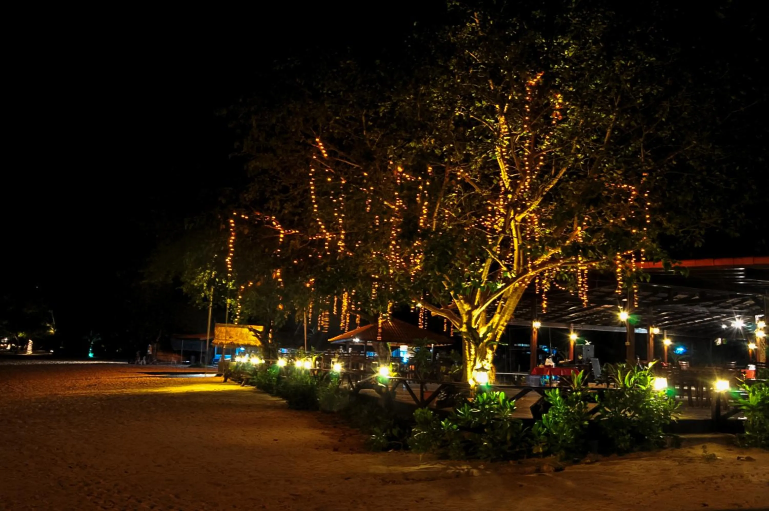 Night in Phi Phi Natural Resort