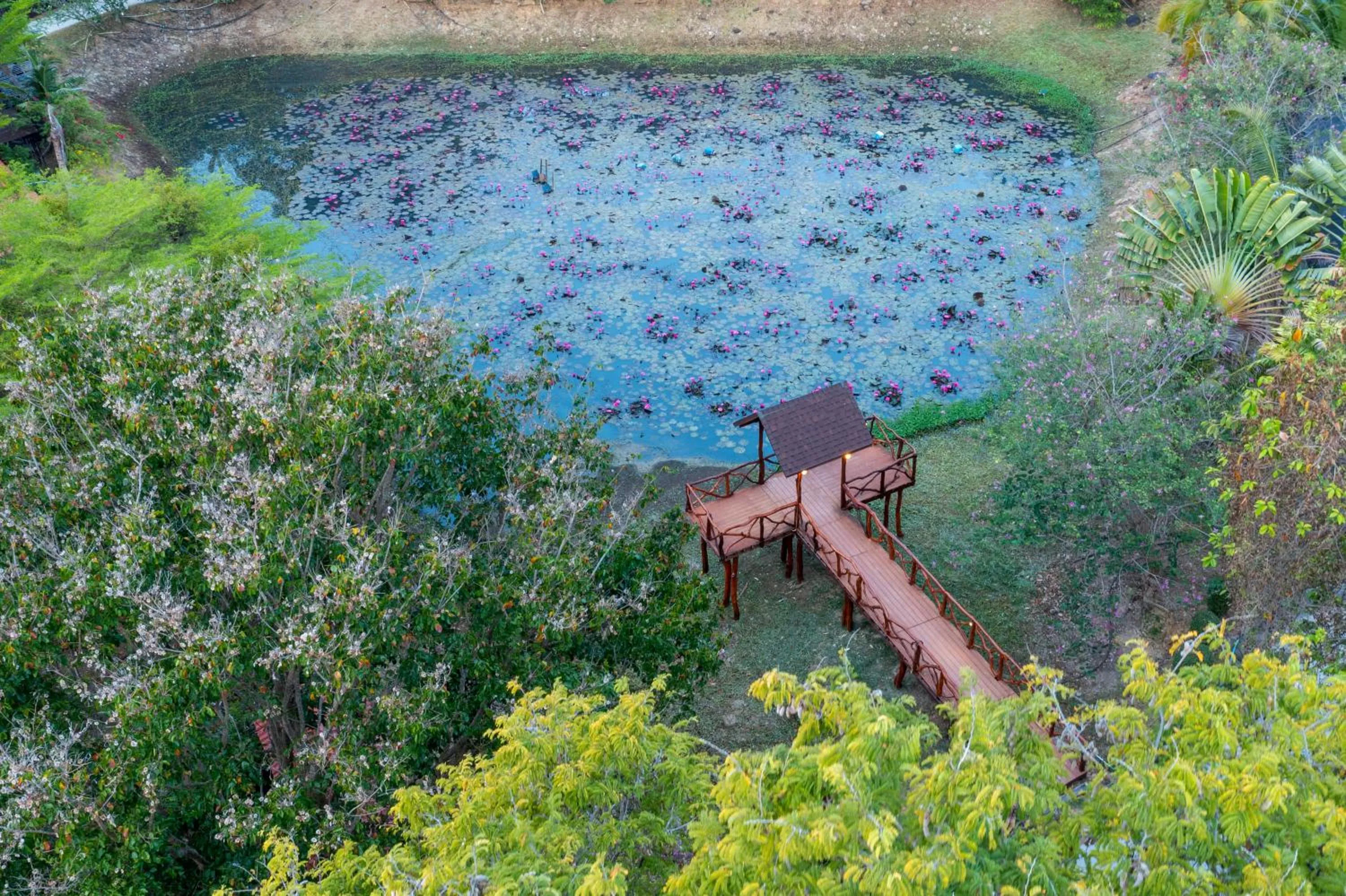 Garden in Phi Phi Natural Resort