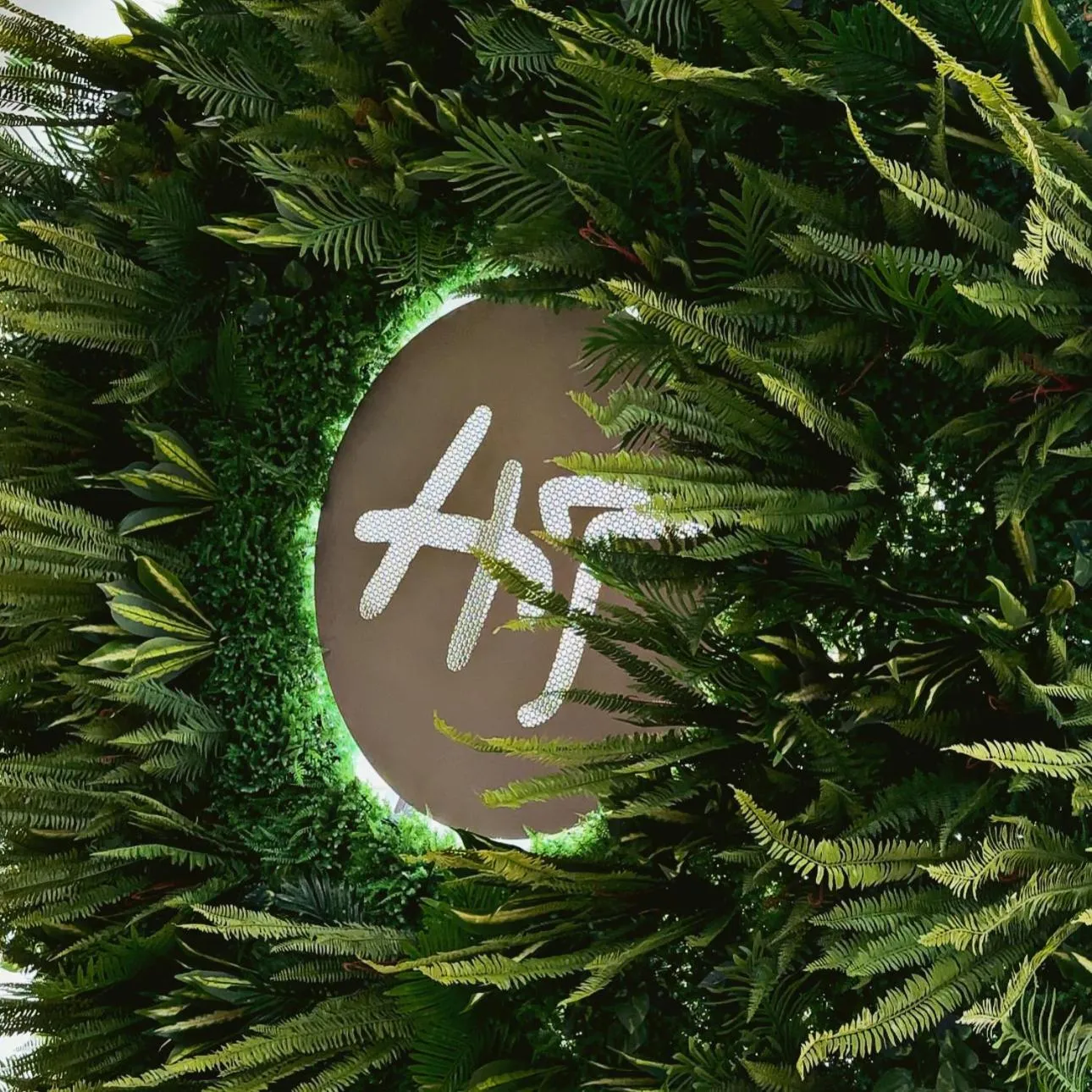 Day in Hotel Tonchalá