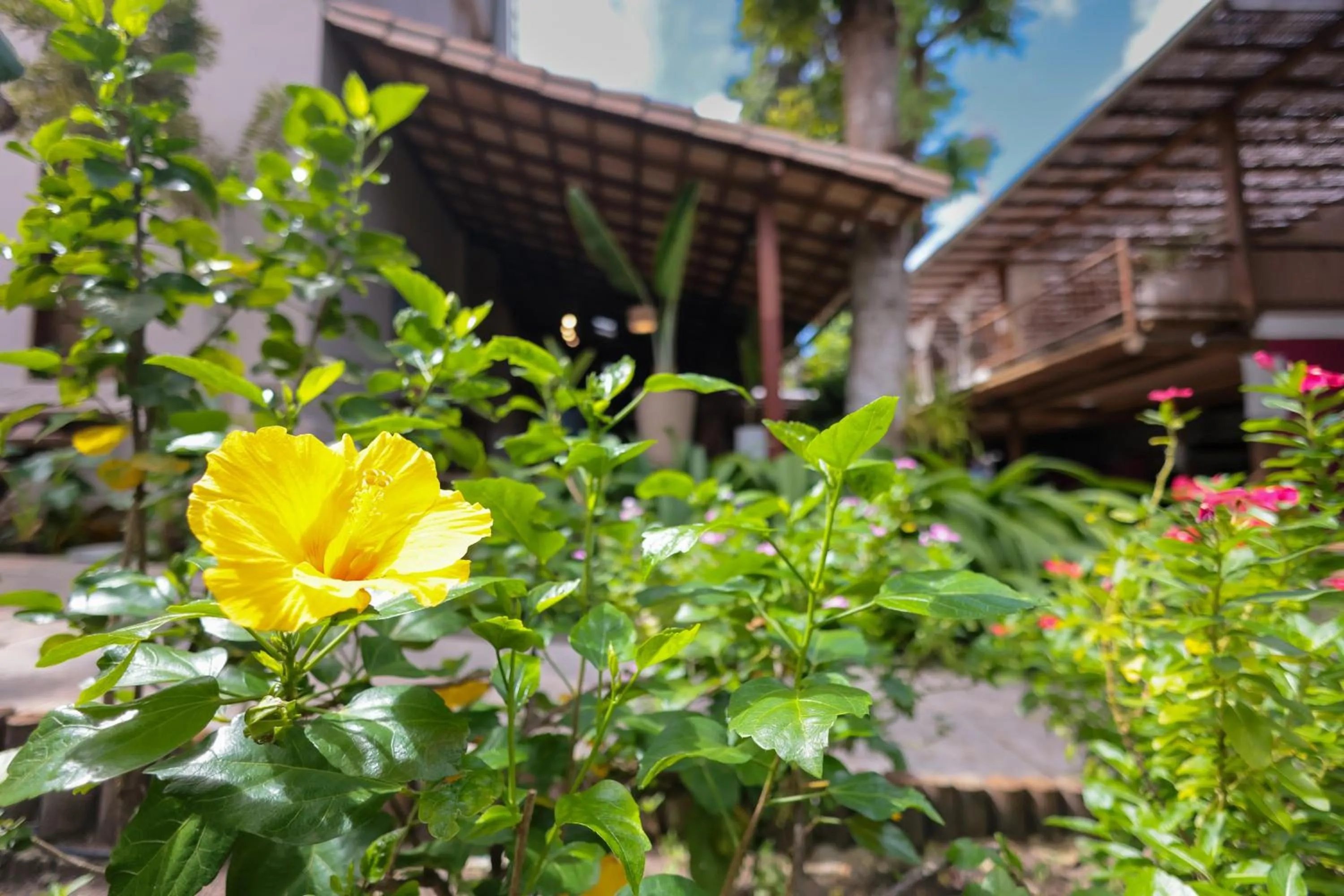 Garden view in Hotel Pousada Coqueiros