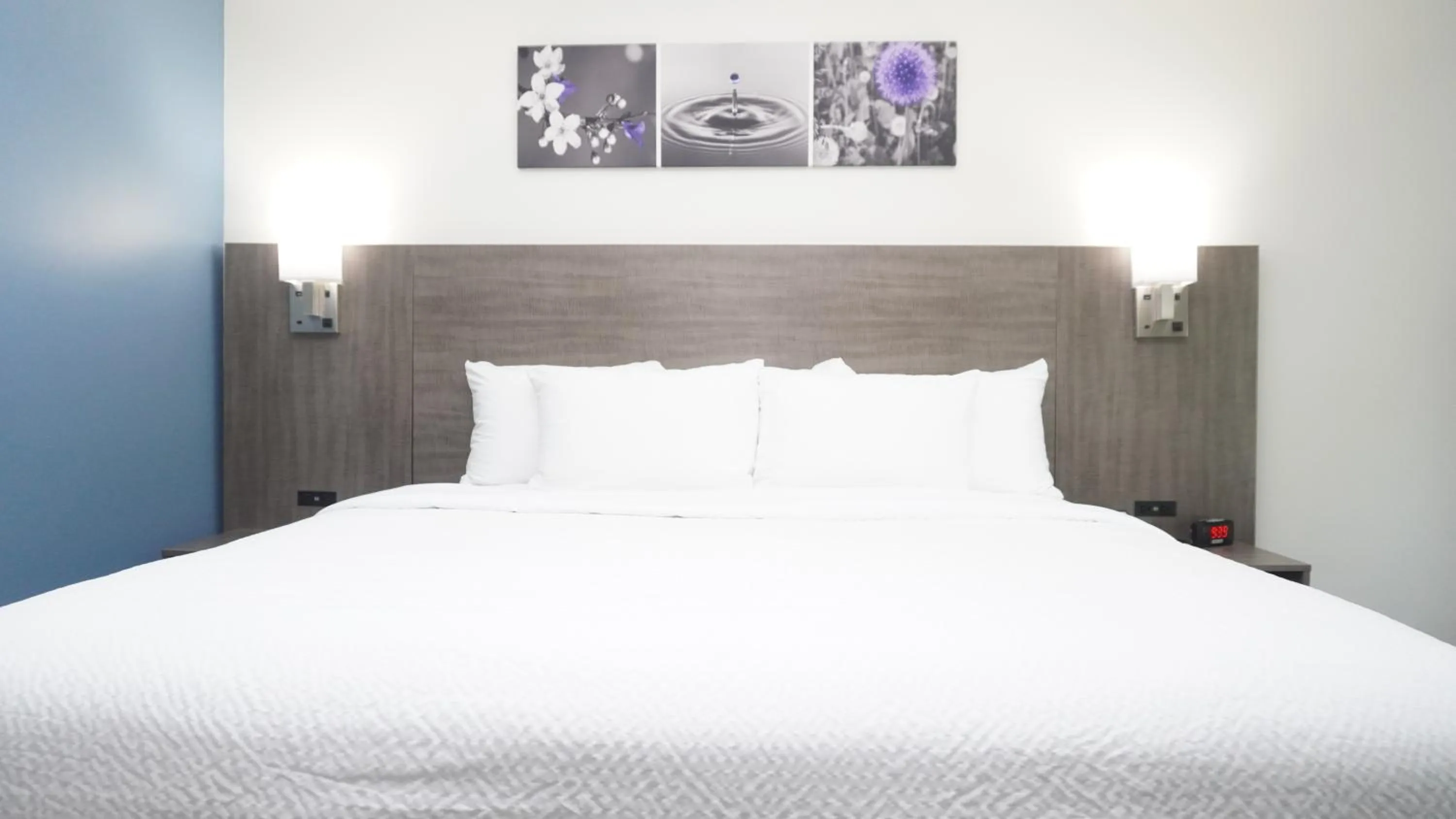 Sleep Inn Franklin - Cool Springs