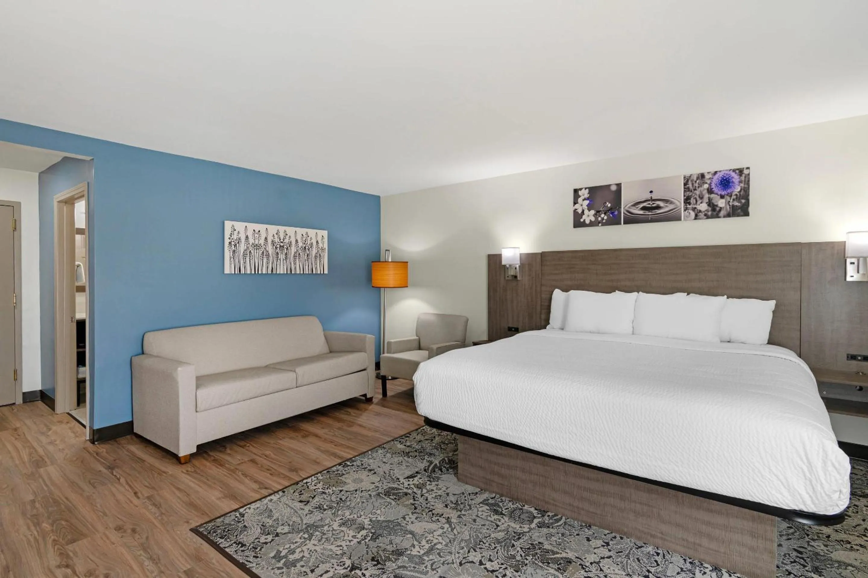 Bedroom in Sleep Inn Franklin - Cool Springs