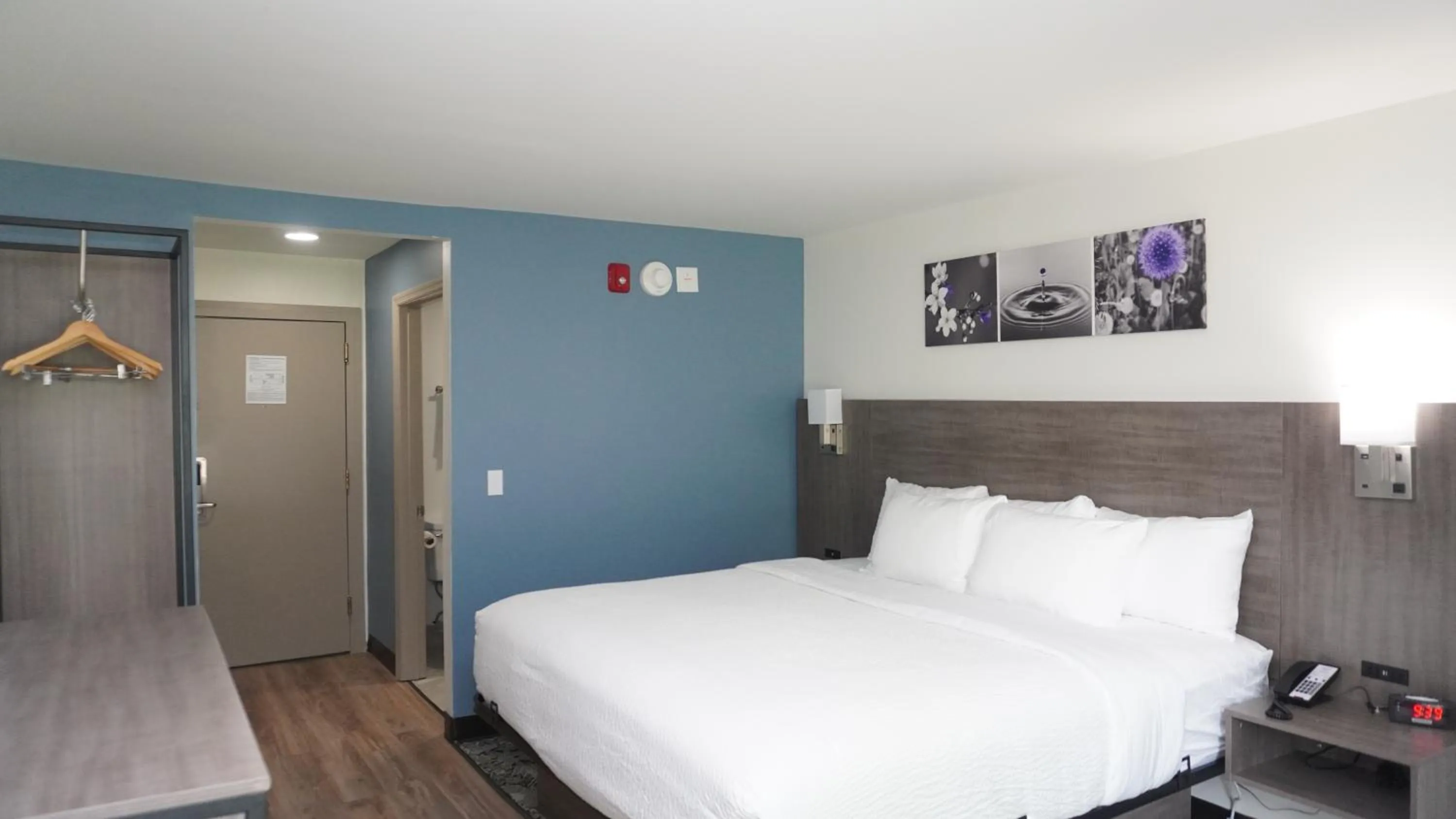 Sleep Inn Franklin - Cool Springs