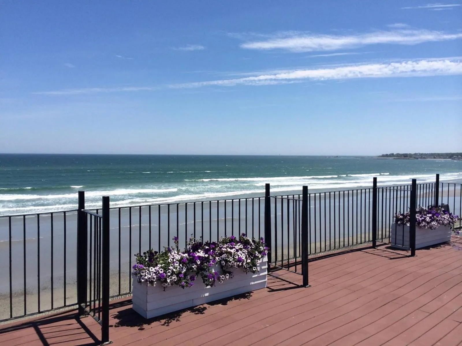 Natural landscape in Nantasket Beach Resort