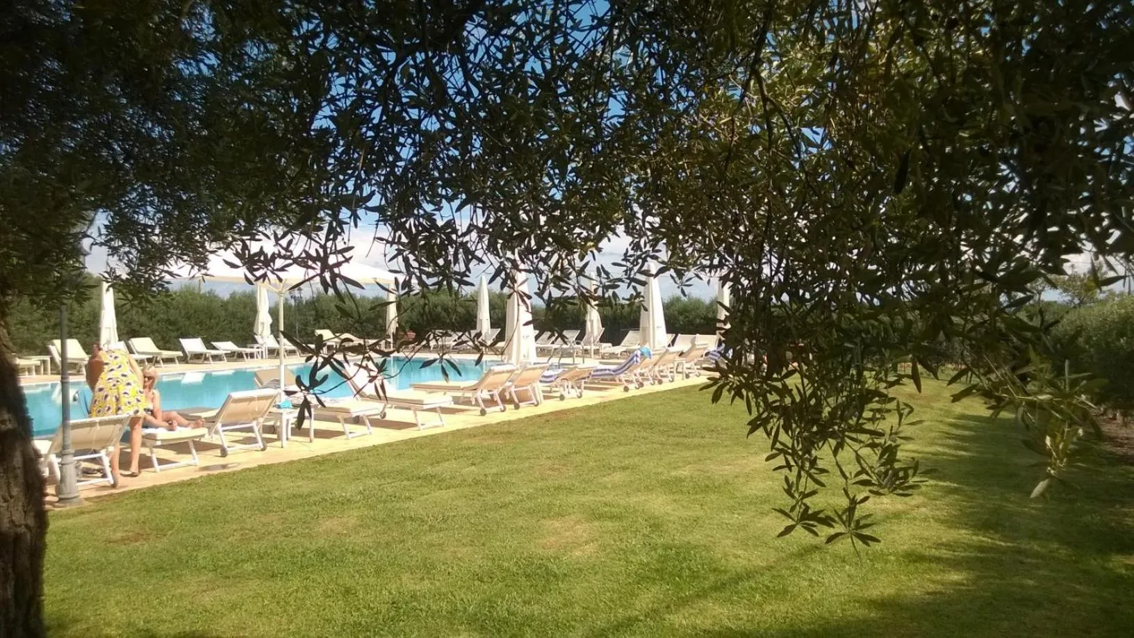 Swimming pool in Masseria Salamina