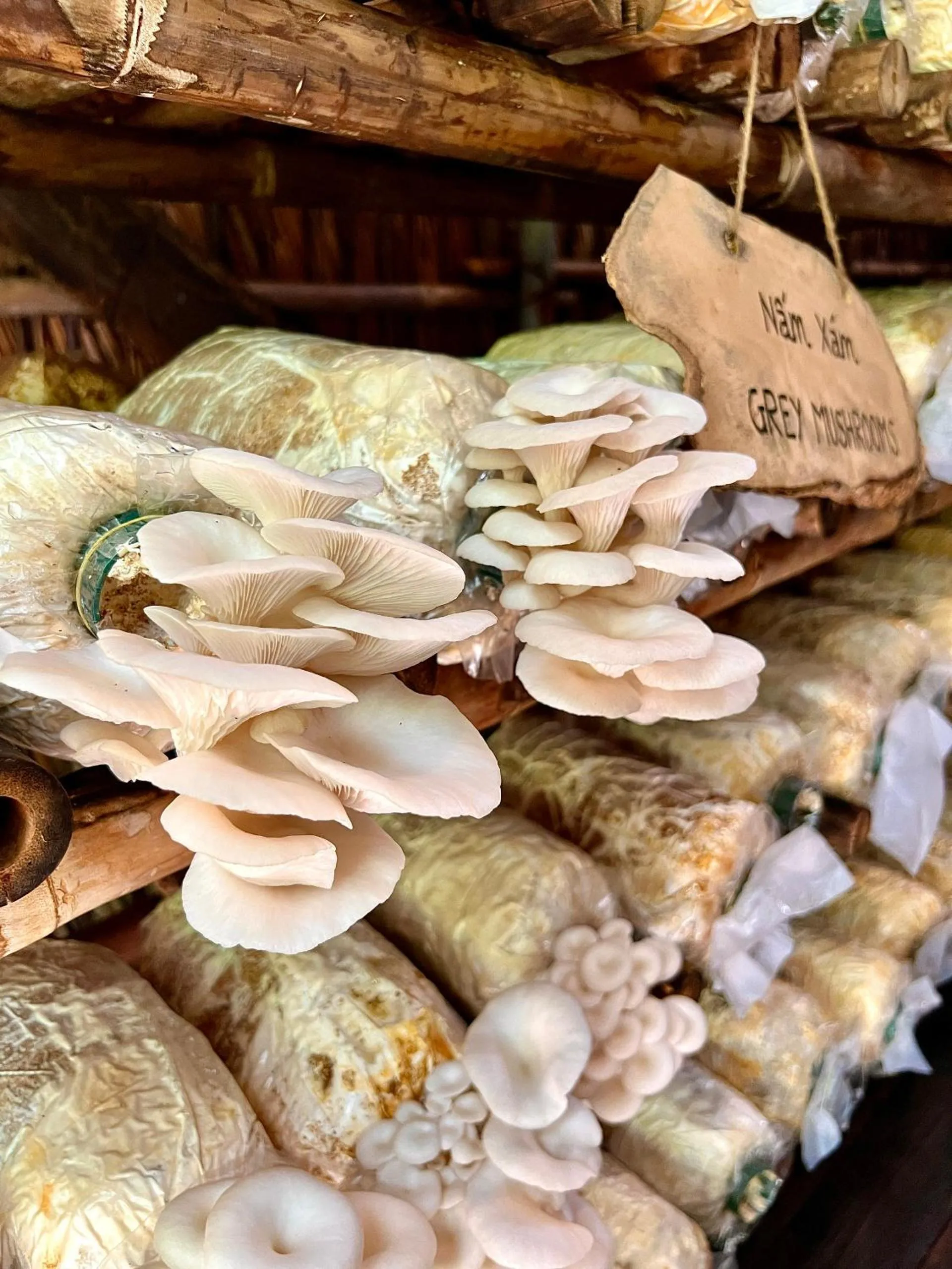 Activities in Six Senses Con Dao - Turtle Island Paradise